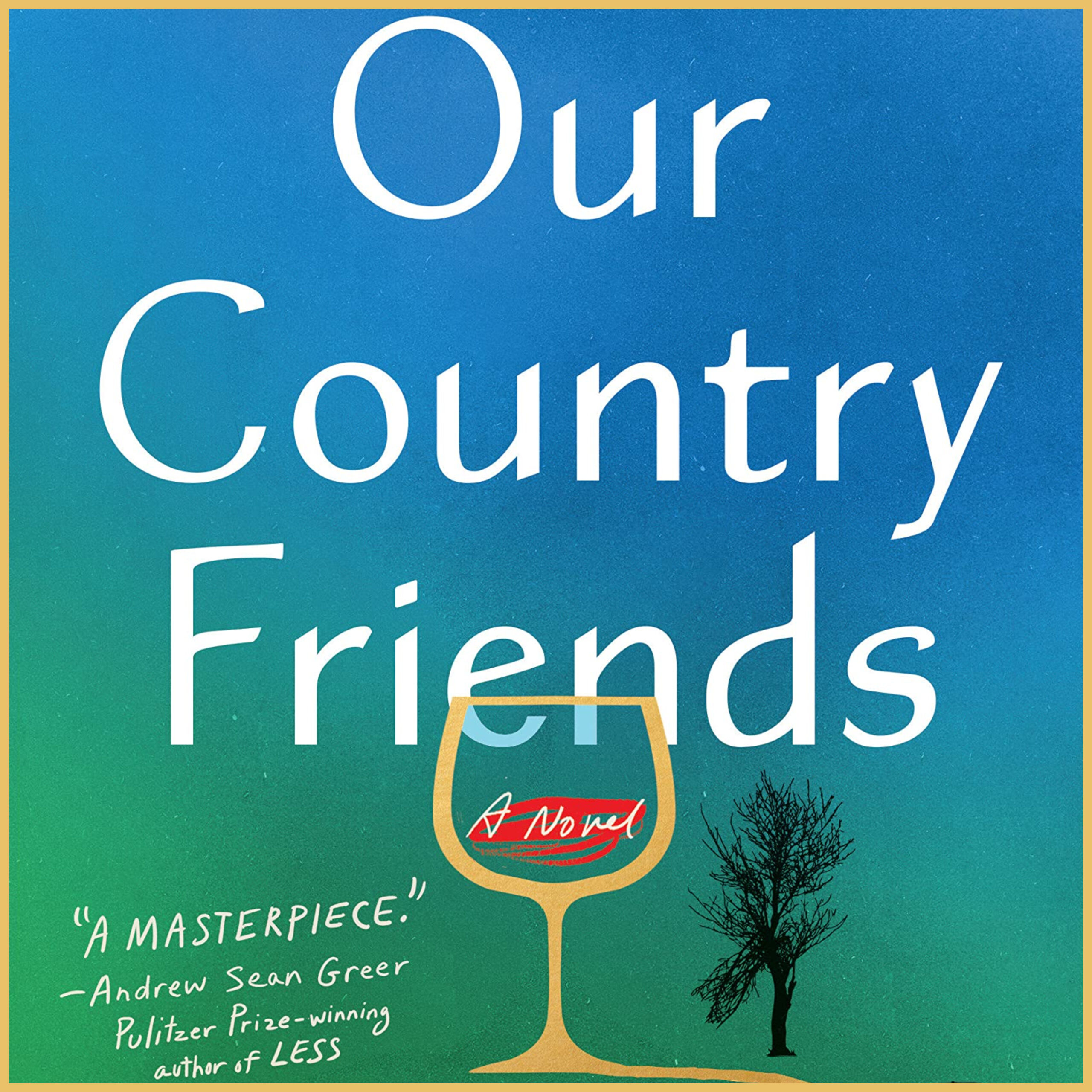 #1747: Gary Shteyngart's "Our Country Friends" | The Book Show