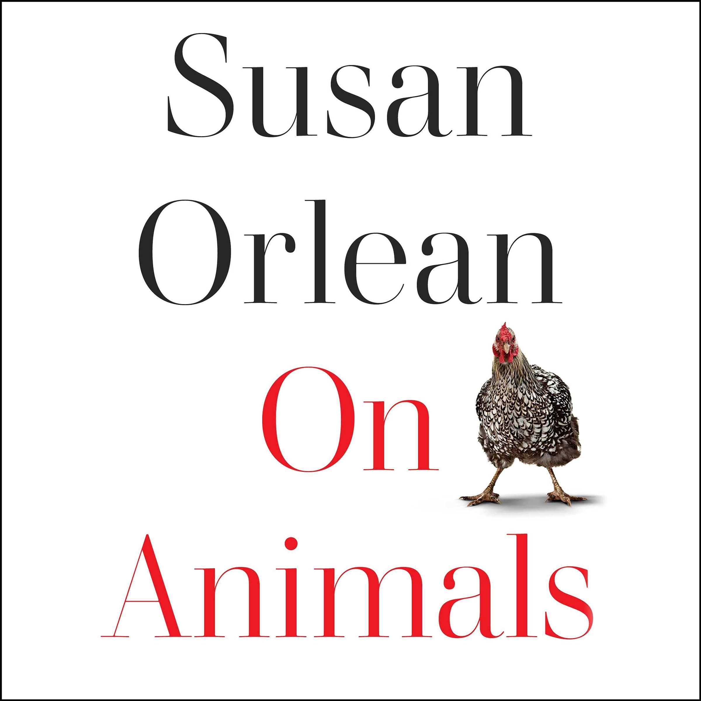 #1757: Susan Orlean “On Animals” | The Book Show