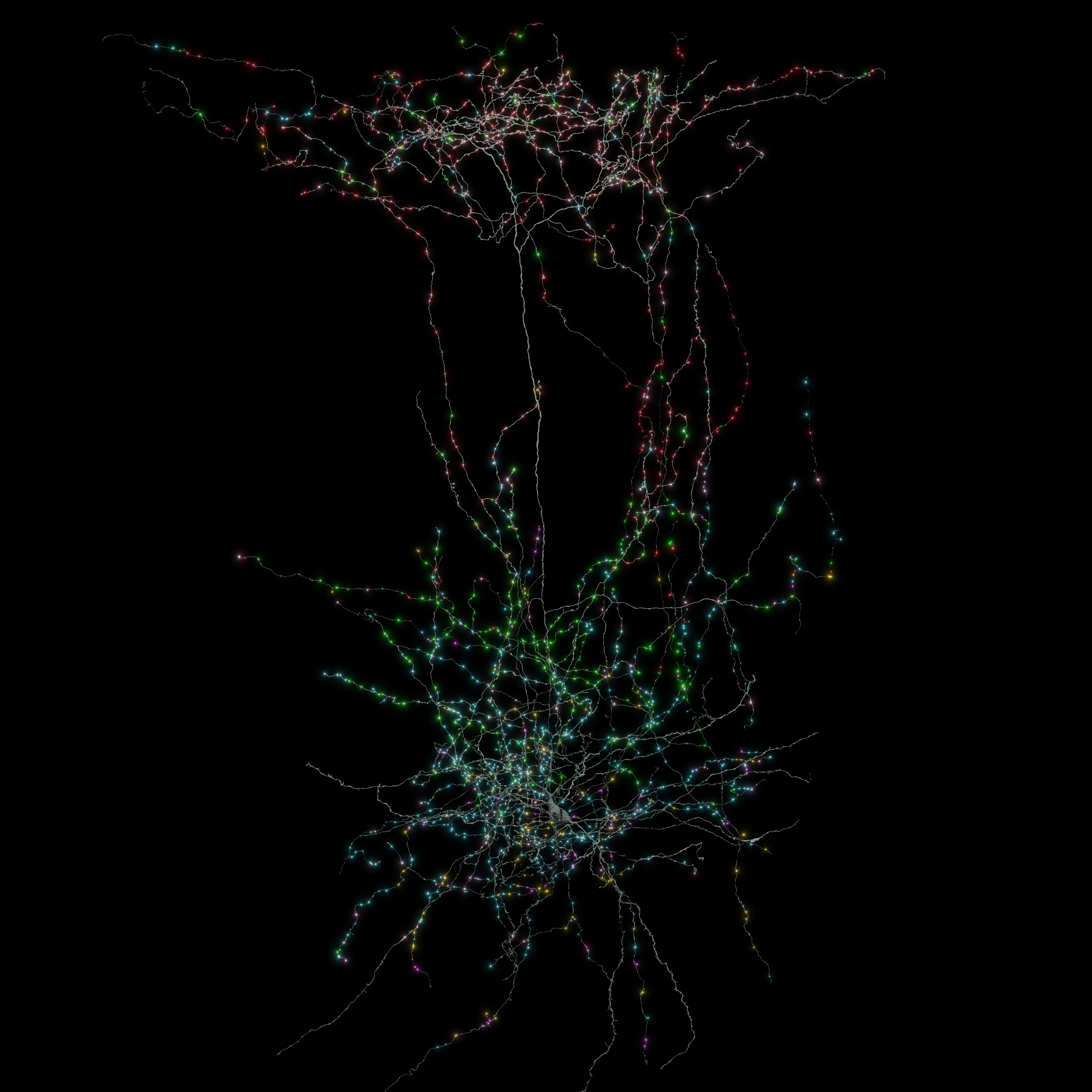 The MICrONS project and mapping the brain