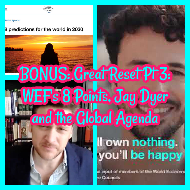 BONUS: Great Reset Pt 3: WEF's 8 Points, Jay Dyer and the Global Agenda