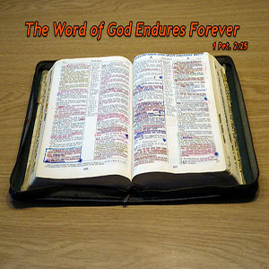 23.01.09 “Word Power” (1 Peter 1:22-25)