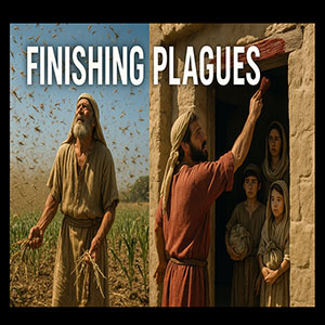Episode Cover