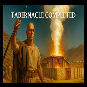 Episode Cover