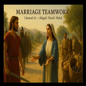 25.11.08 “Marriage Teamwork” (1 Samuel 25)