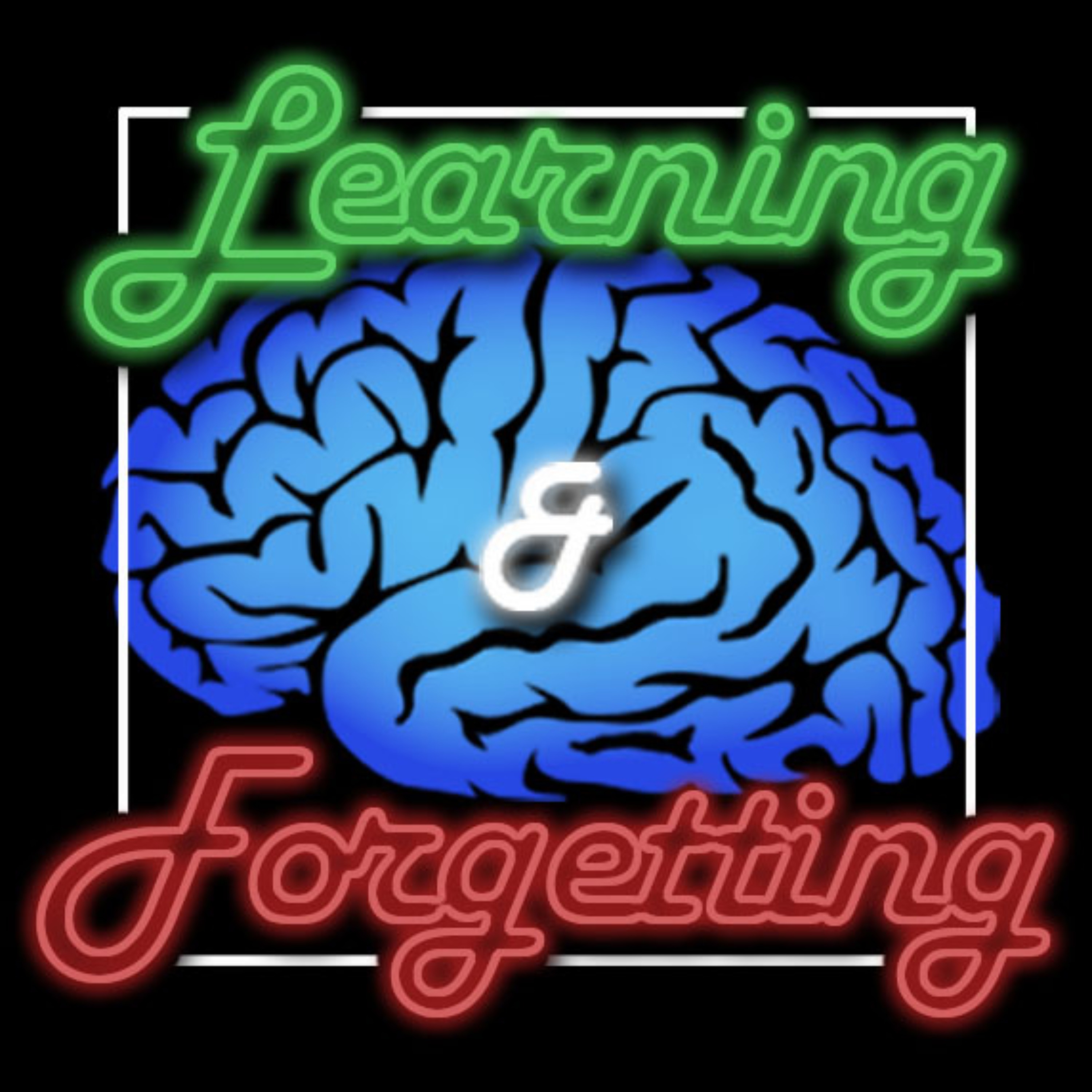 The Learning and Forgetting Podcast