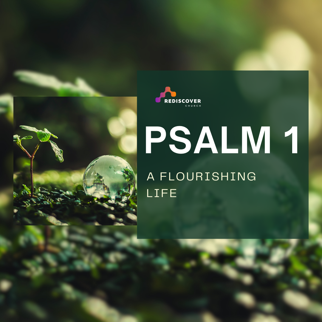 Psalm 1: A Flourishing Life | Graham Allen | 27th October