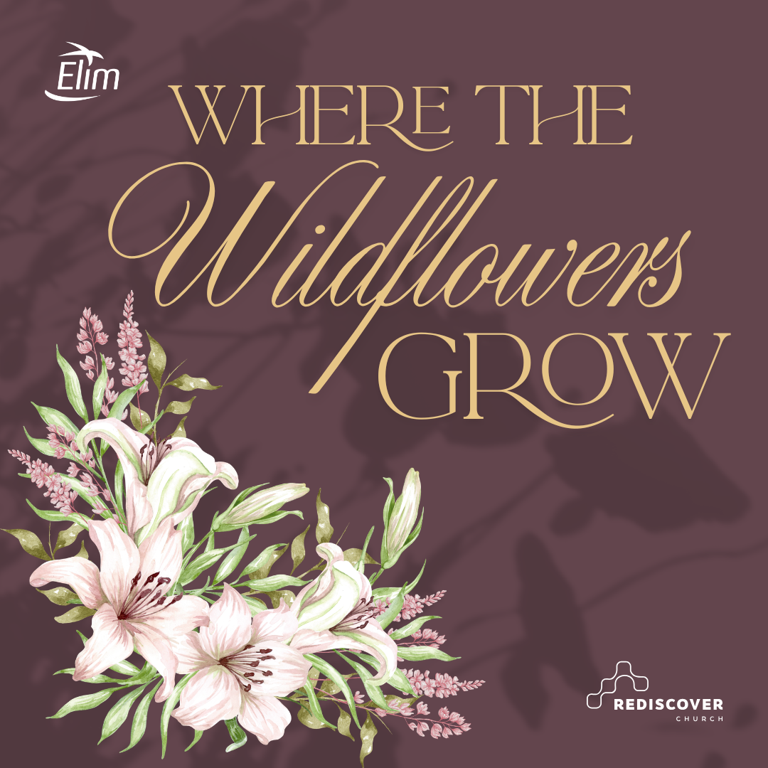 Where The Wildflowers Grow | Amy de Vetter | Sunday 15th March