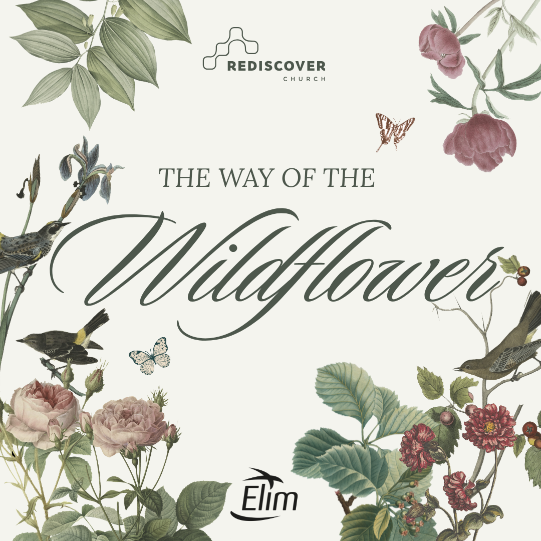 The Way of The Wildflower | Rachelle Clark | Saturday 25th April