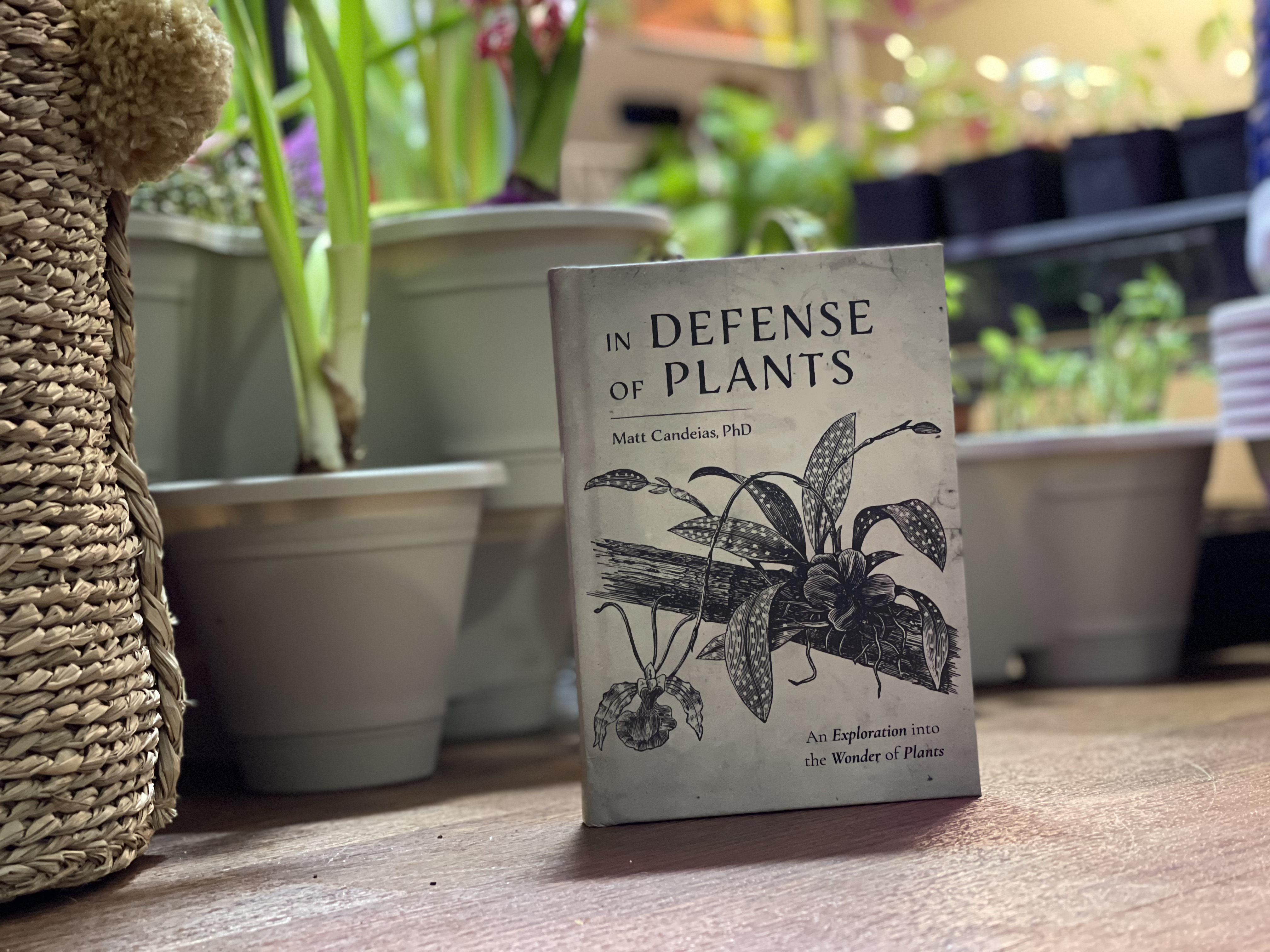 {Afternoon Tea} ep. 1 &#39;In Defense Of Plants&#39; -REVIEW-