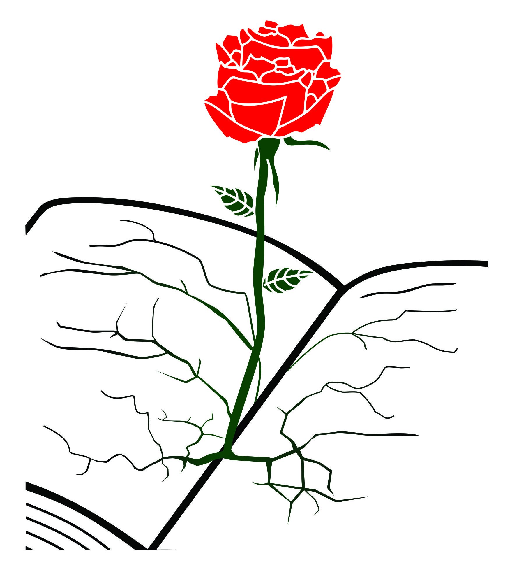 Abundance Reconstructed