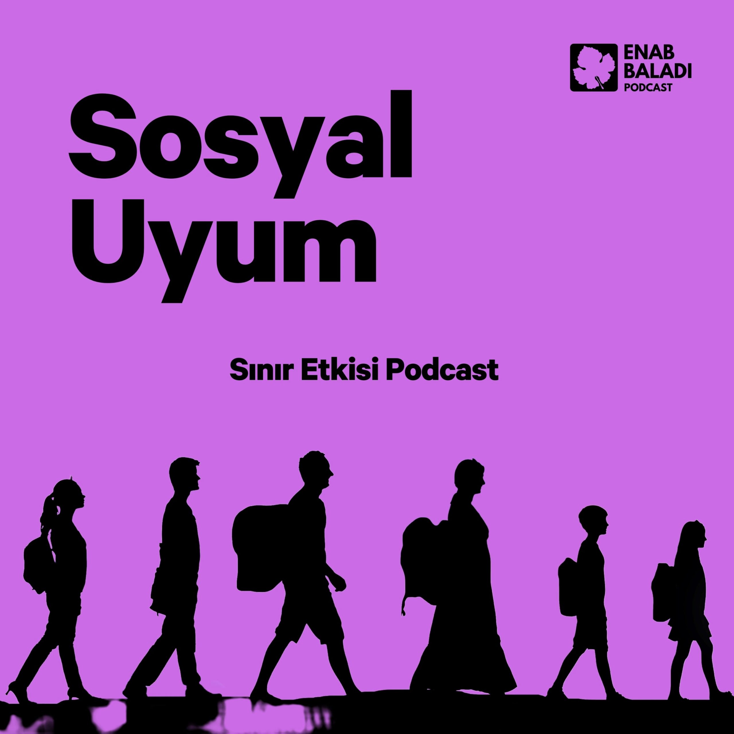 Sosyal Uyum | Sınır Etkisi