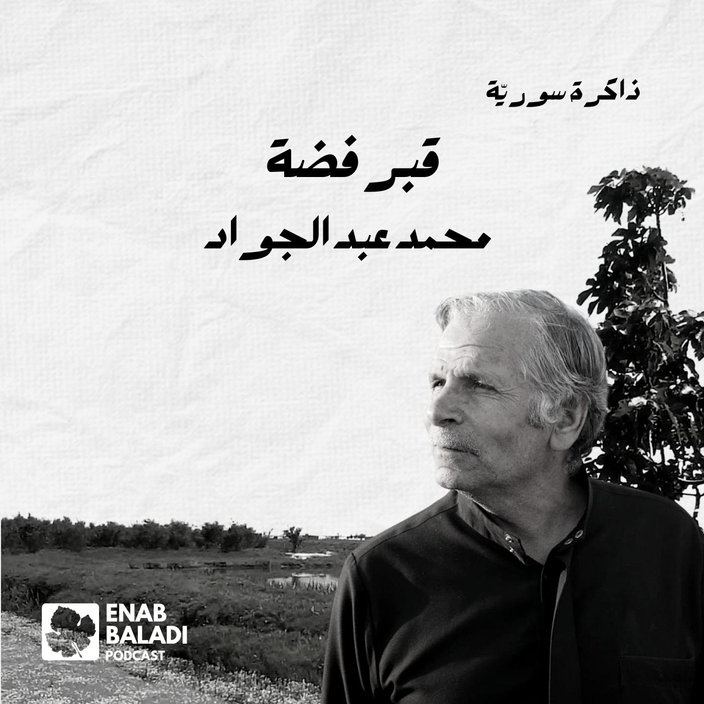 قبر فضة.. محمد عبد الجواد | ذاكرة سورية 88