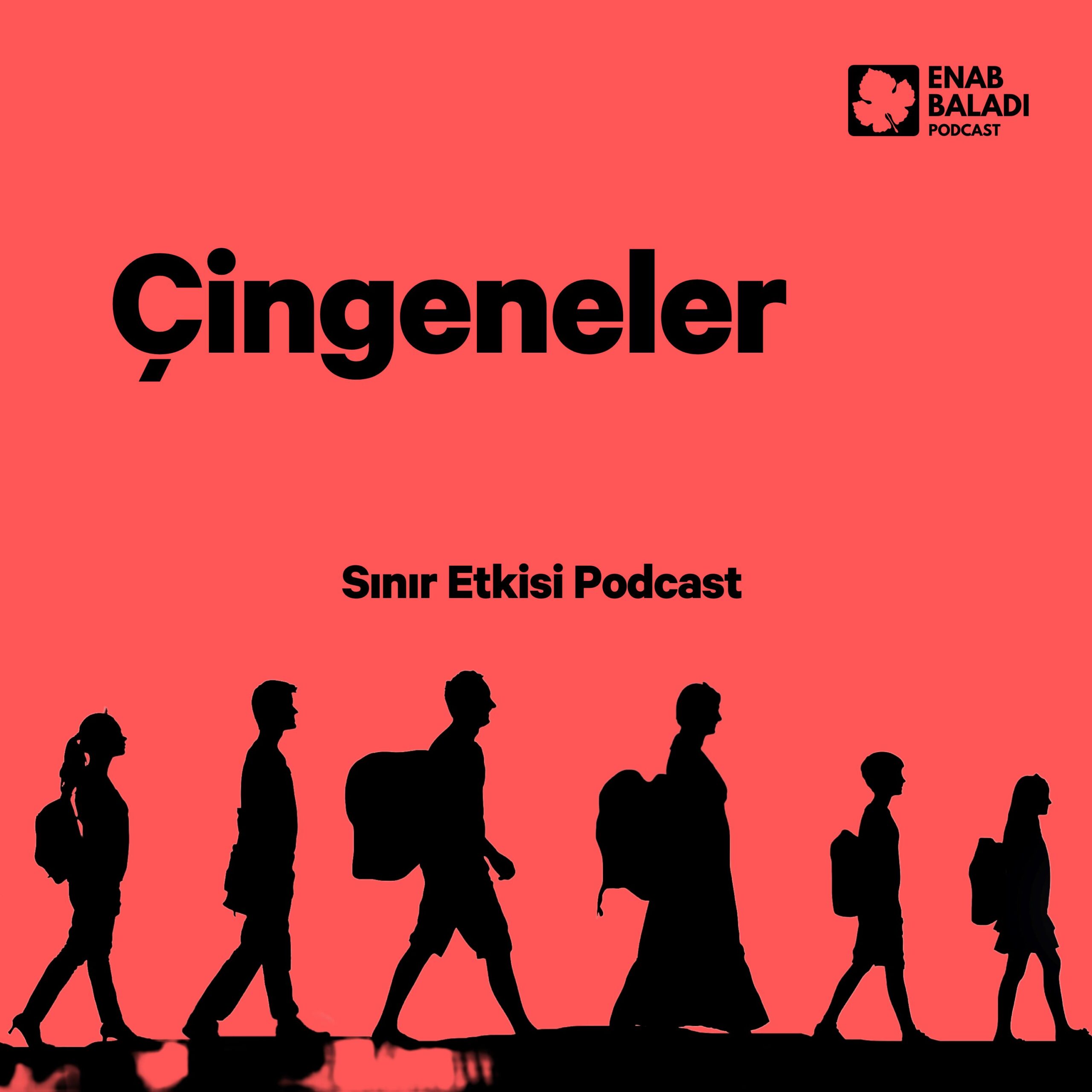 Çingeneler | Sınır Etkisi