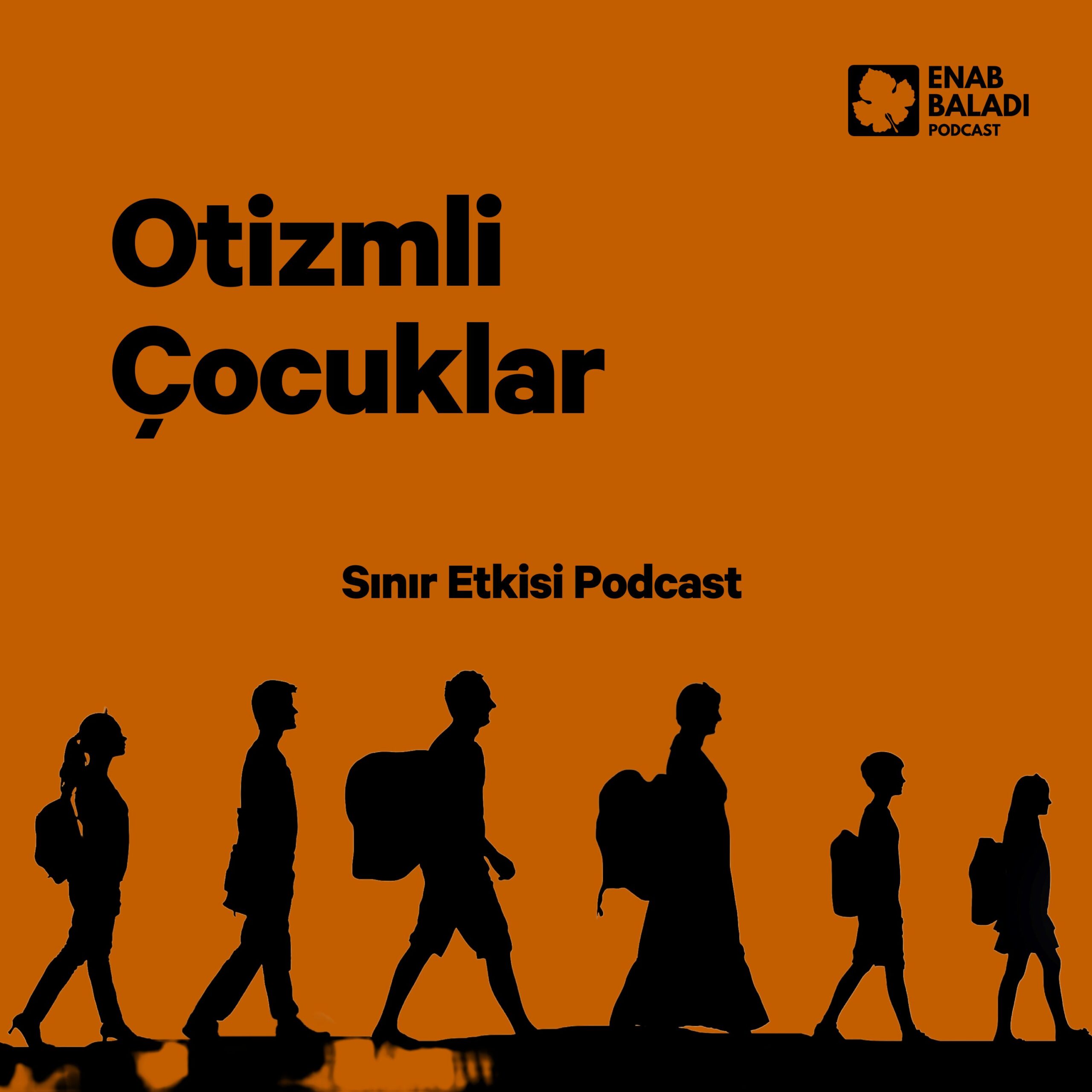 Episode Cover