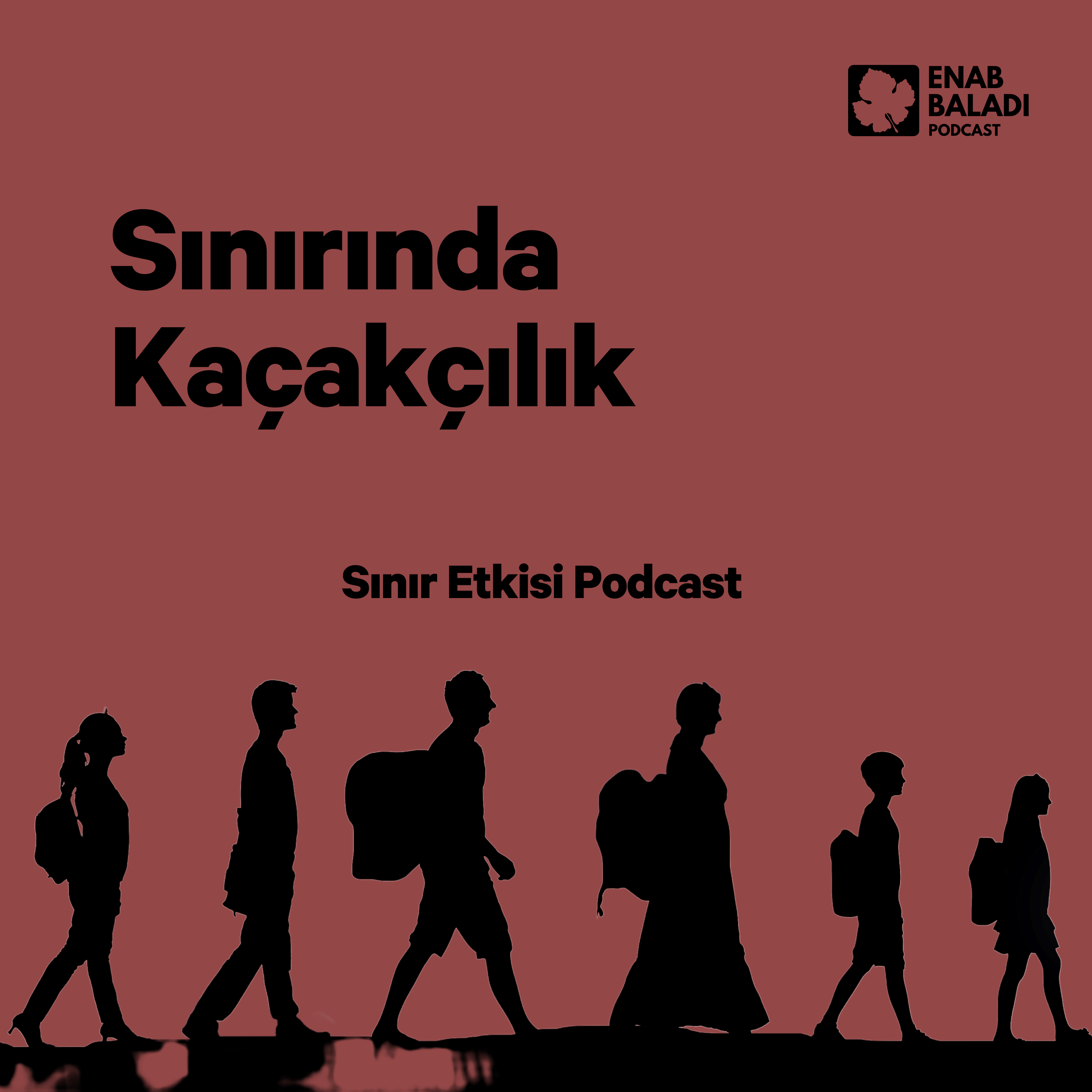 Episode Cover