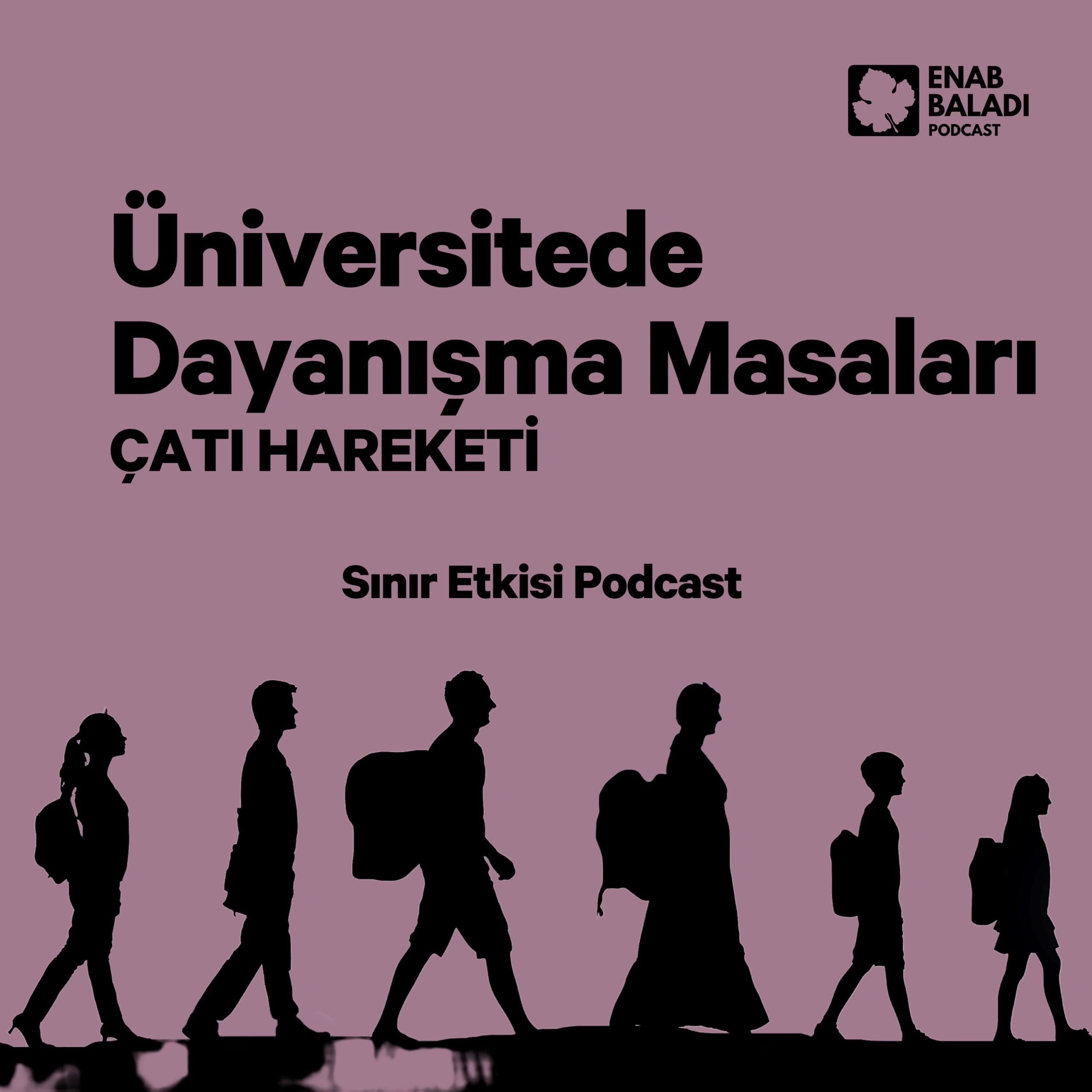 Üniversitelerde Azınlıkların Örgürtlenmesi.. Çatı Hareketi | Sınır Etkisi