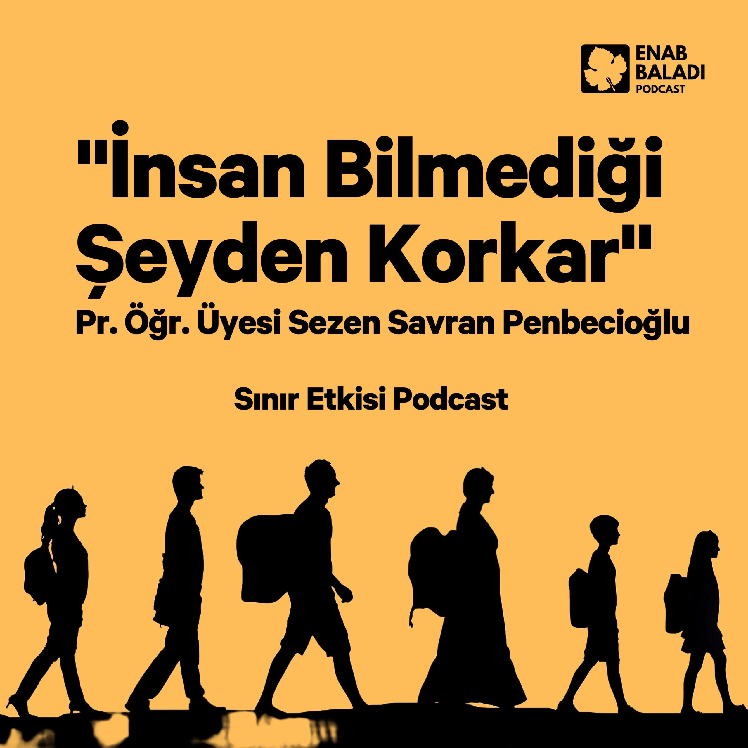 Episode Cover