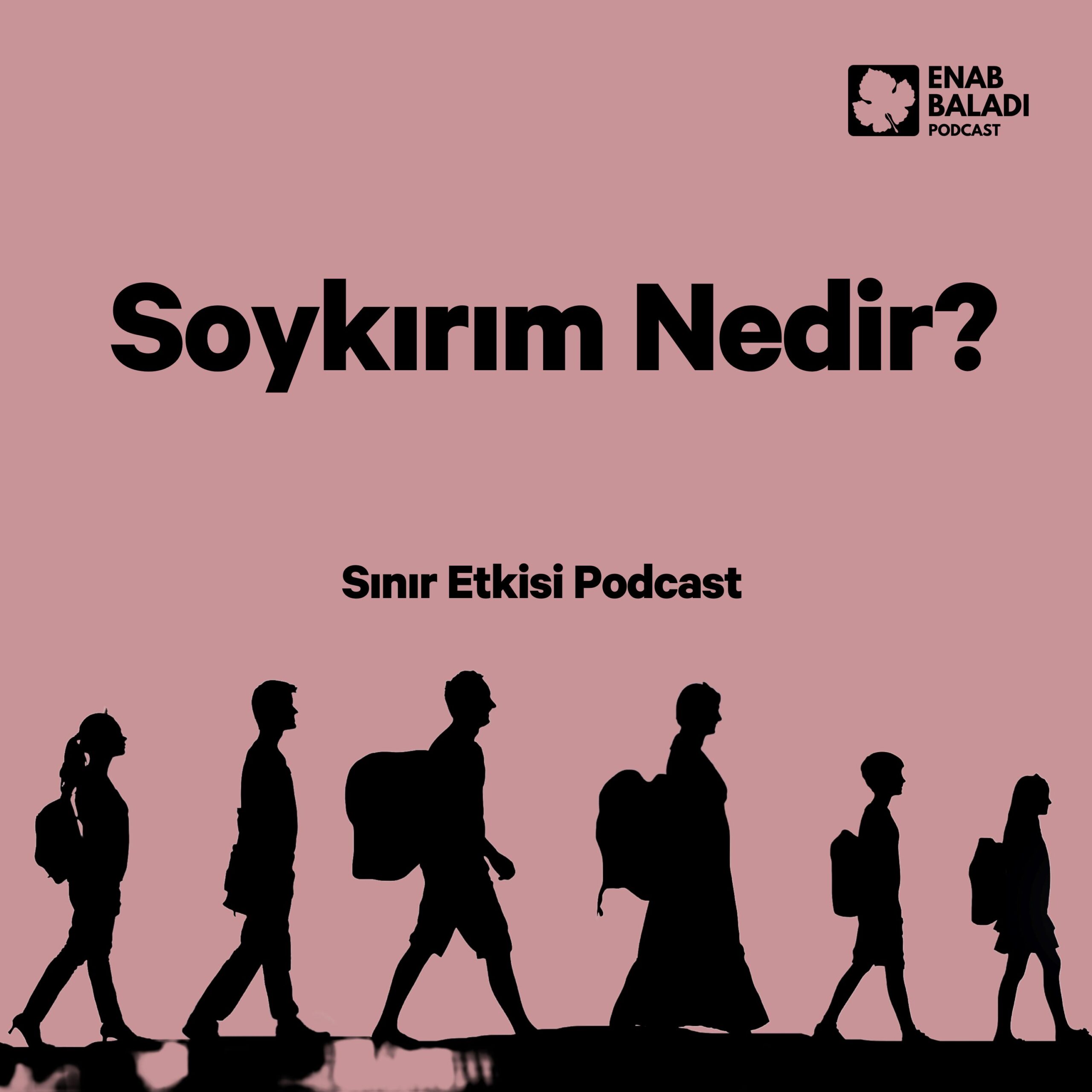 Episode Cover
