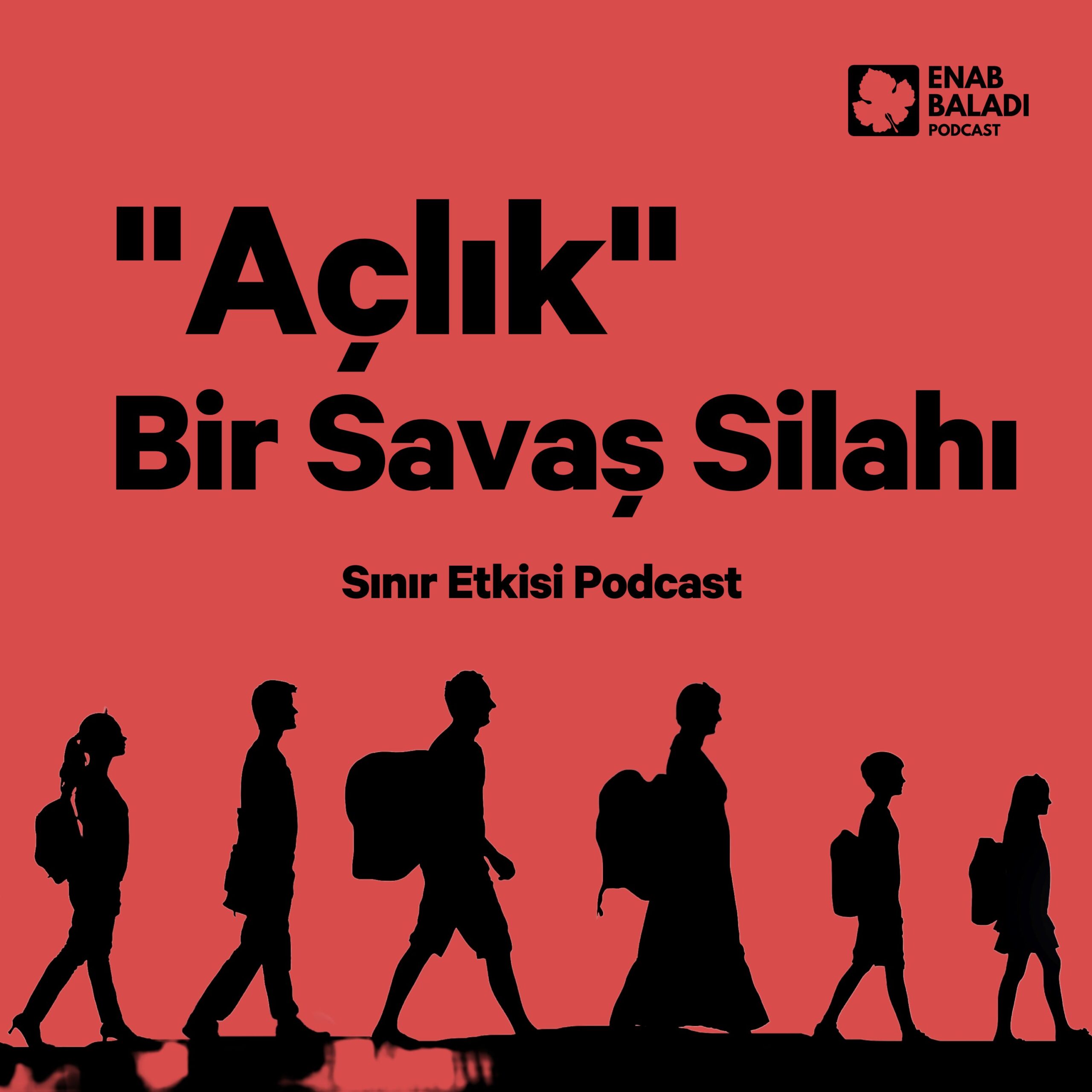 Episode Cover