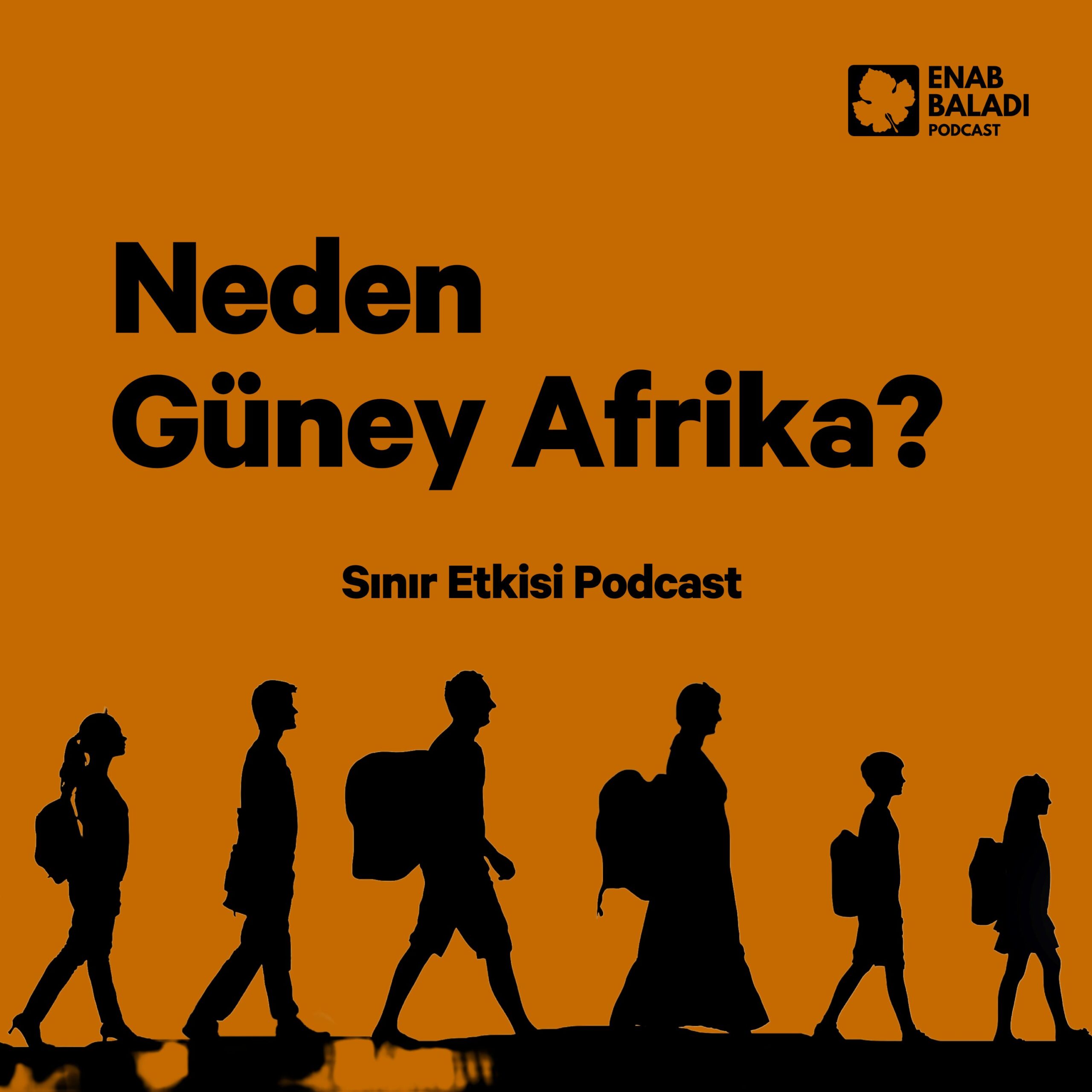 Episode Cover