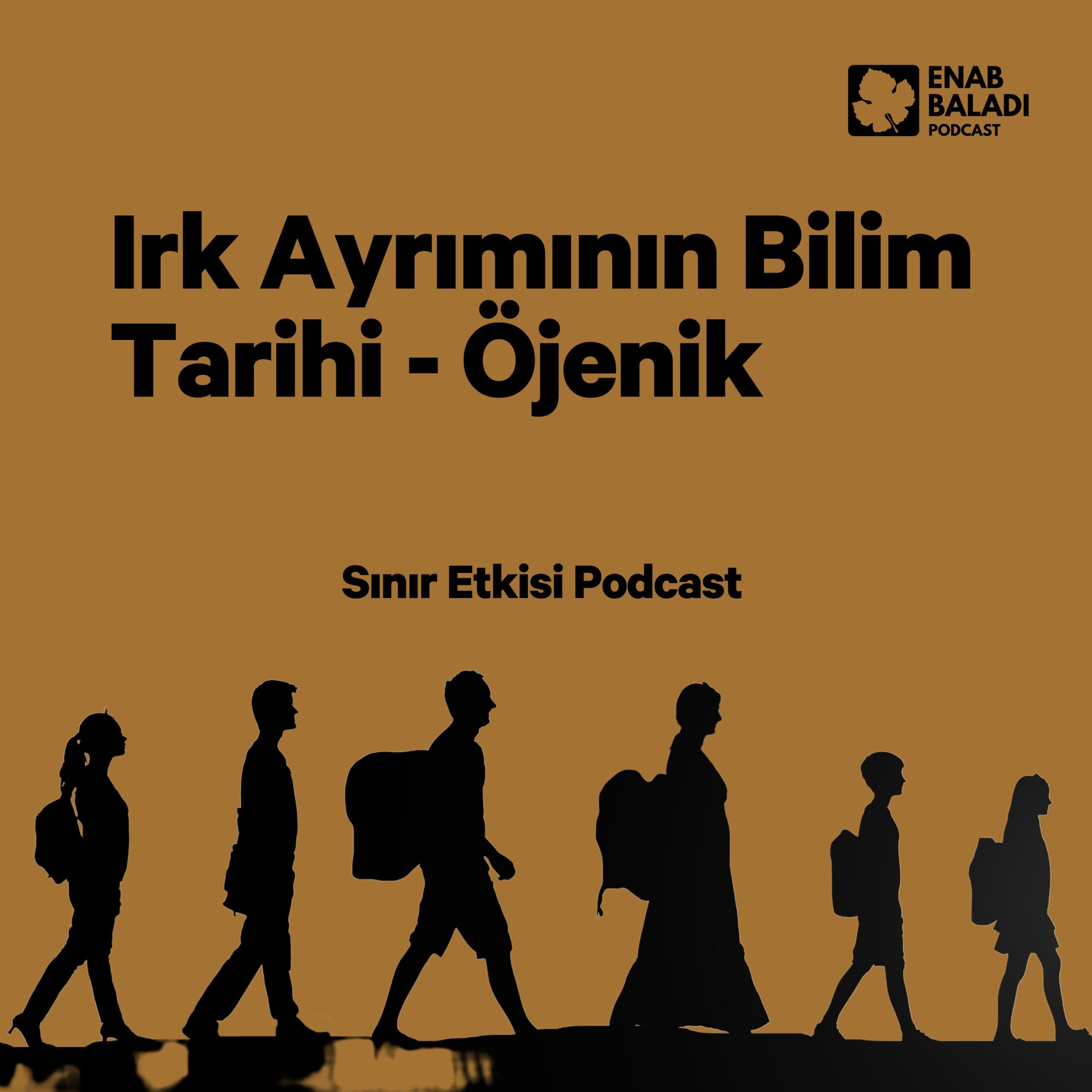 Episode Cover