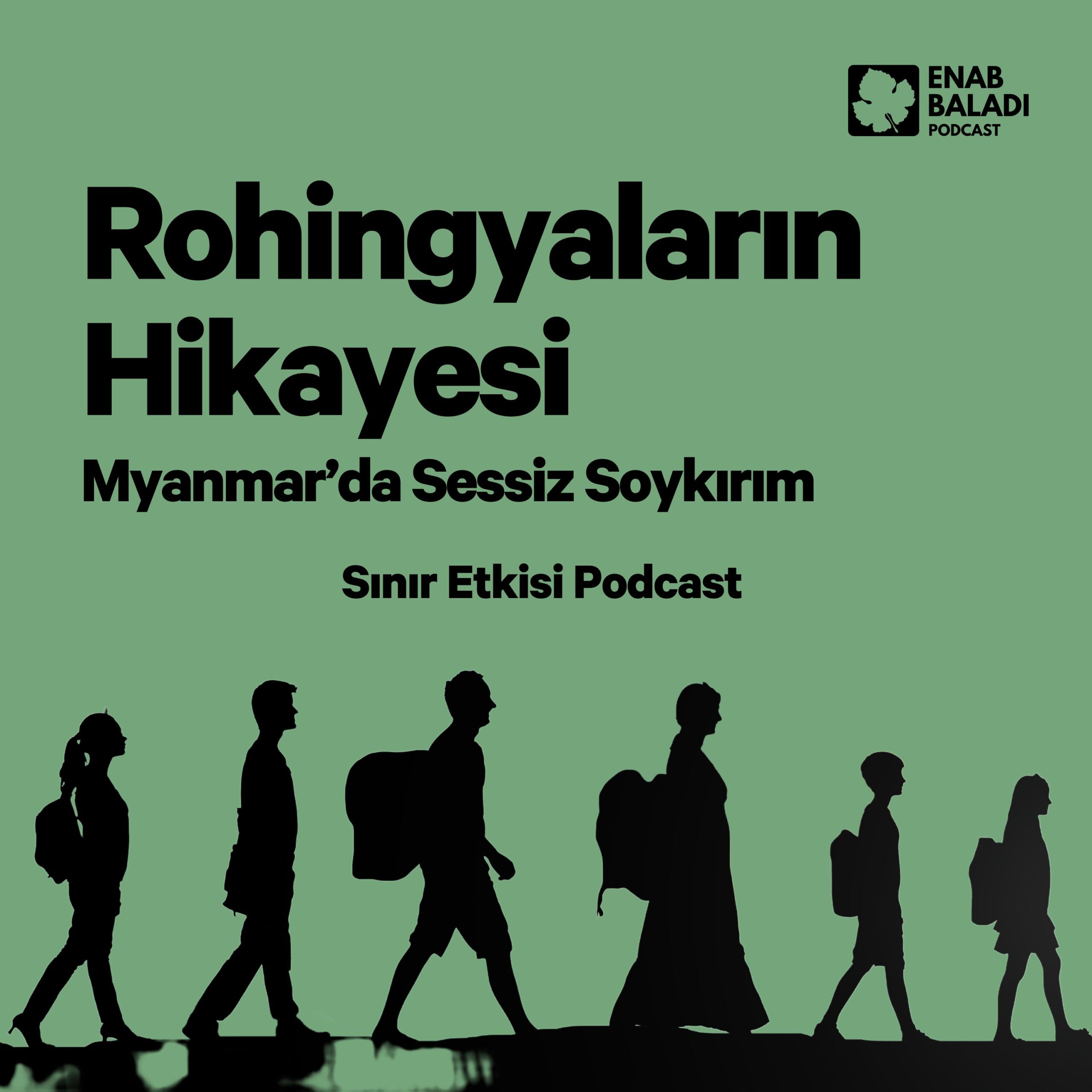 Episode Cover