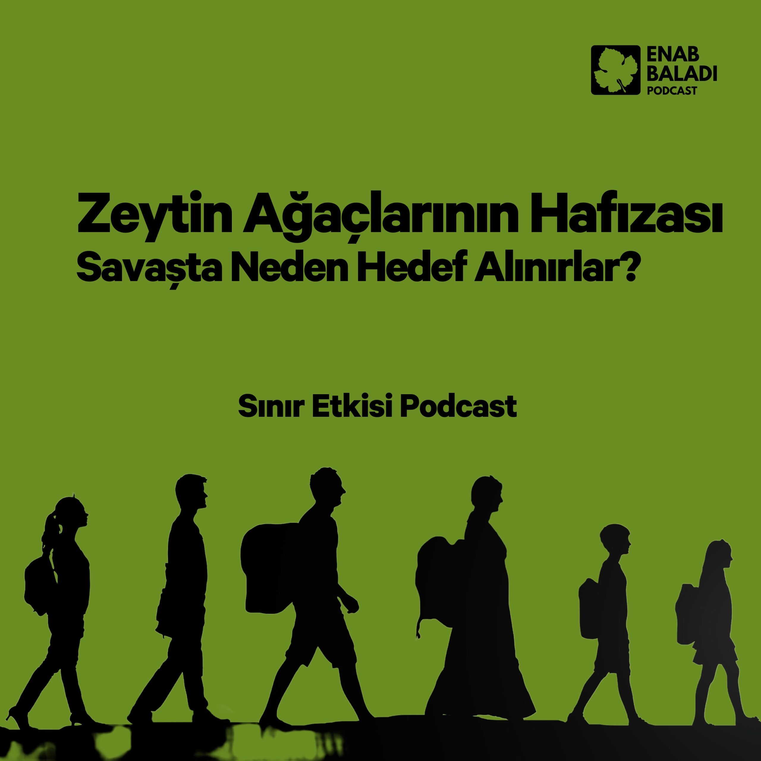 Zeytin Ağaçlarının Hafızası: Savaşta Neden Hedef Alınırlar? | Sınır Etkisi