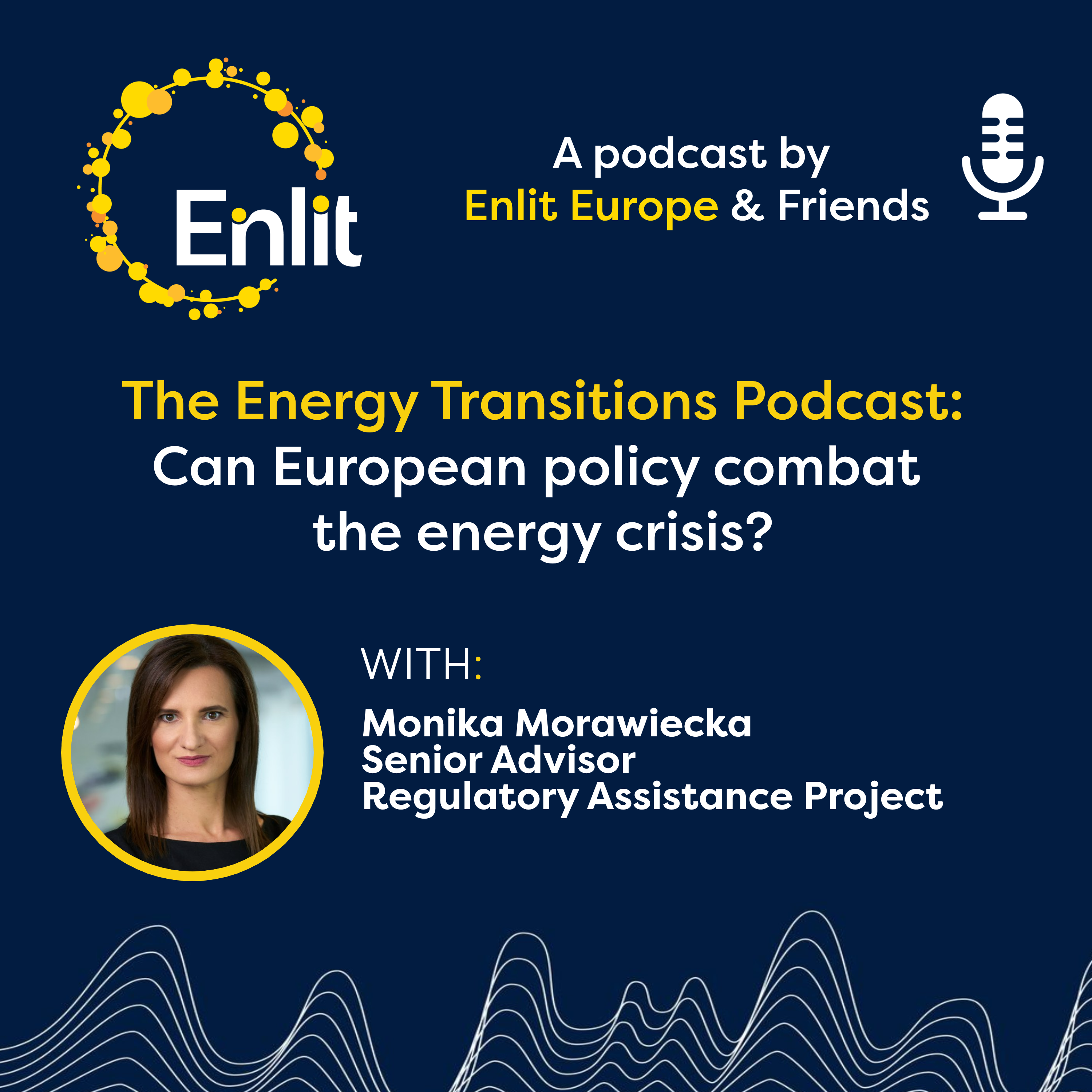 Can European policy combat the energy crisis?