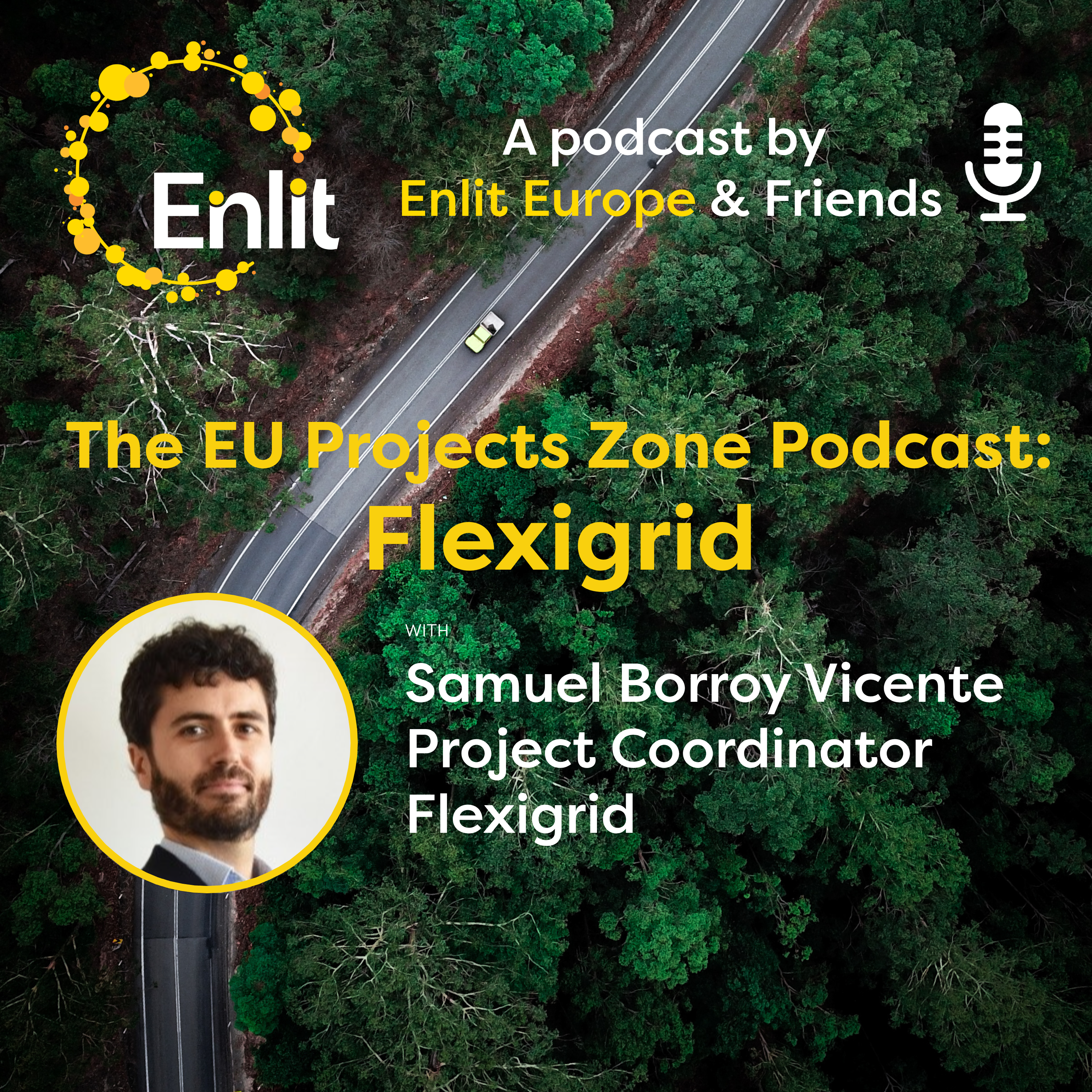 The EU Projects Zone Podcast: FLEXIGRID with Samuel Borroy Vicente