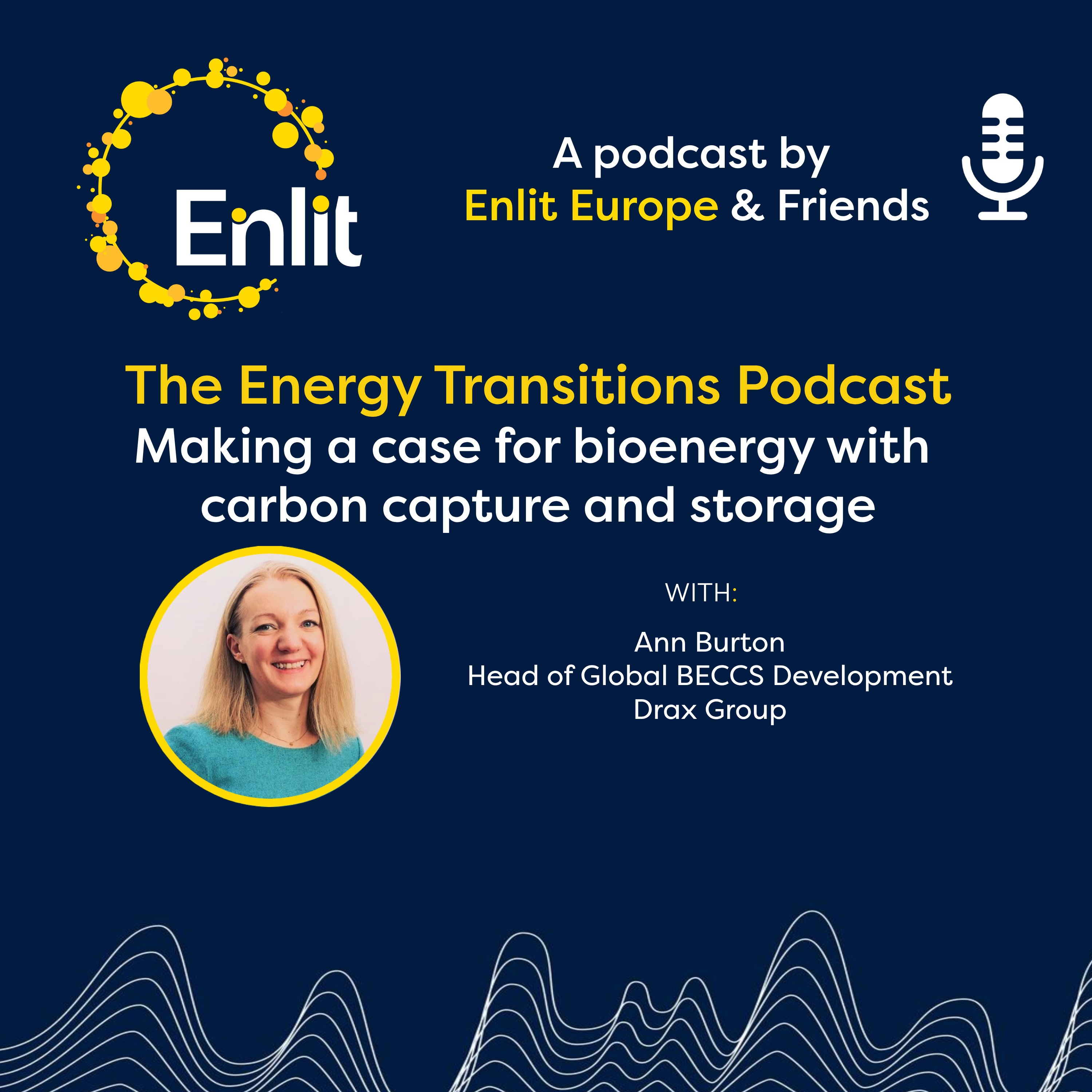 Making a case for bioenergy with carbon capture and storage