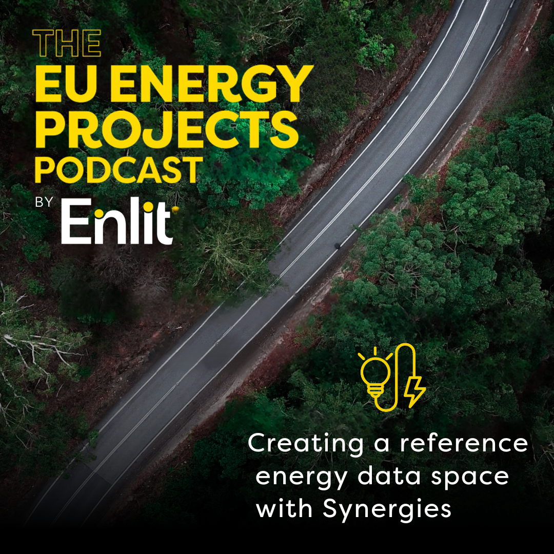 Creating a reference energy data space with Synergies
