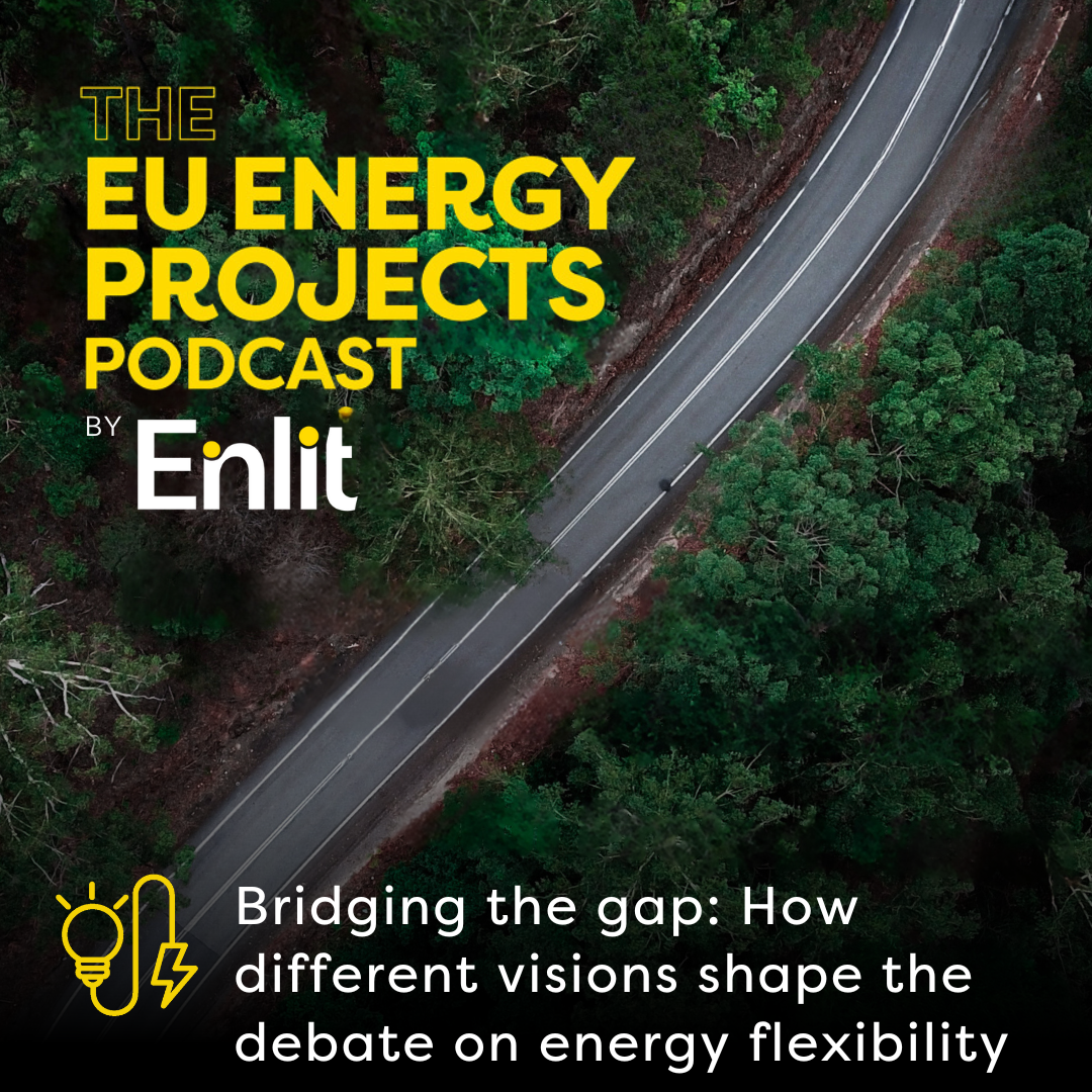 Bridging the gap: How different visions shape the debate on energy flexibility
