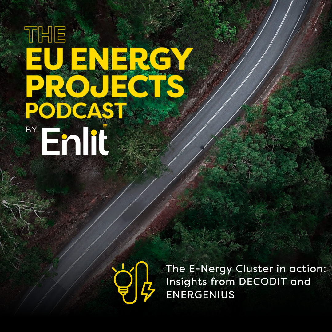 The E-Nergy Cluster in action: Insights from DECODIT and ENERGENIUS