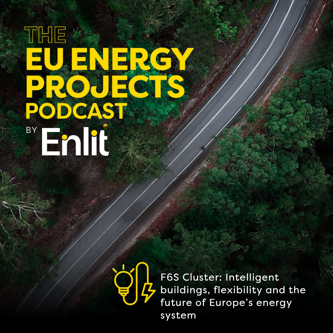F6S Cluster: Intelligent buildings, flexibility and the future of Europe’s energy system