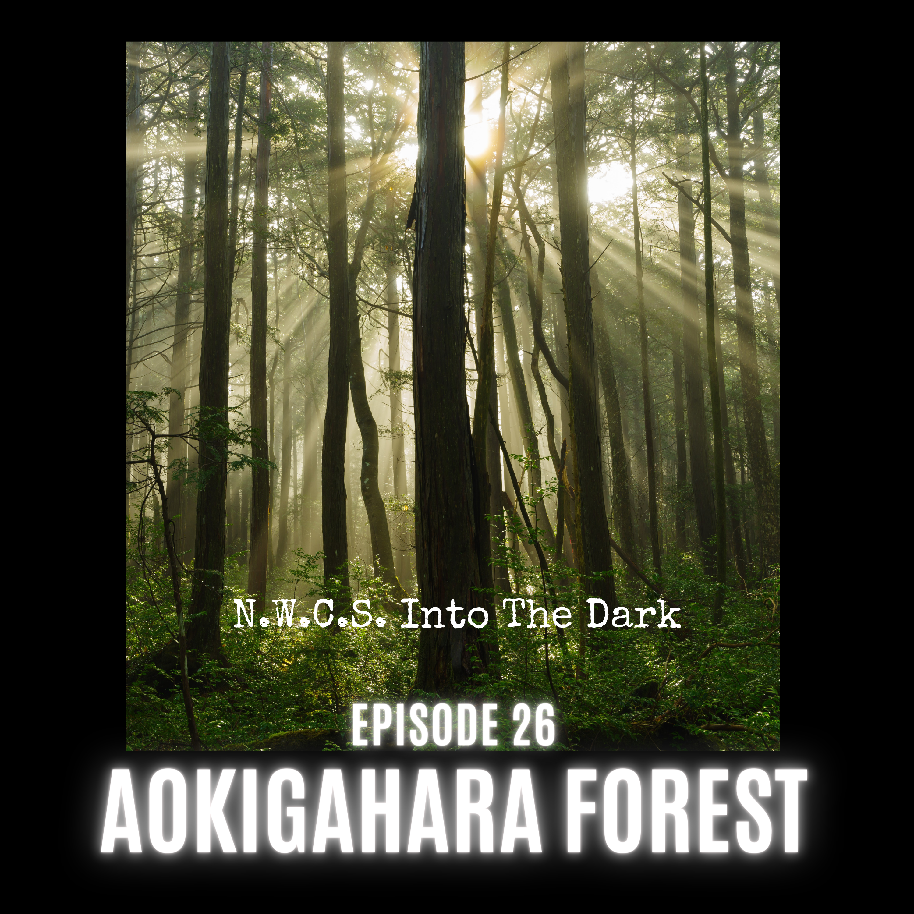 NWCS - Into The Dark Episode 26 Aokigahara Forest