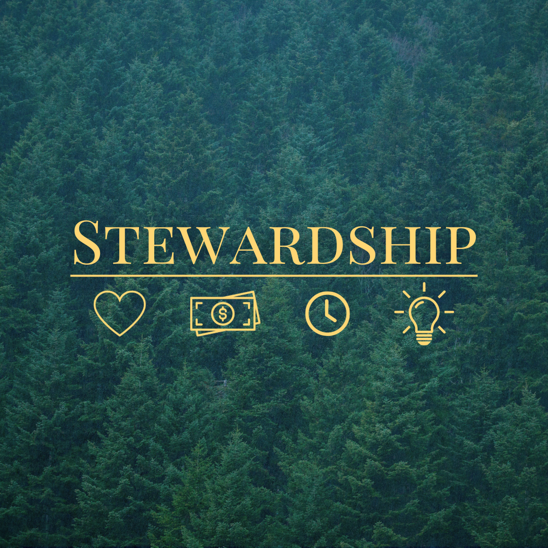 Stewardship Pt. 2 - Steward Your Money