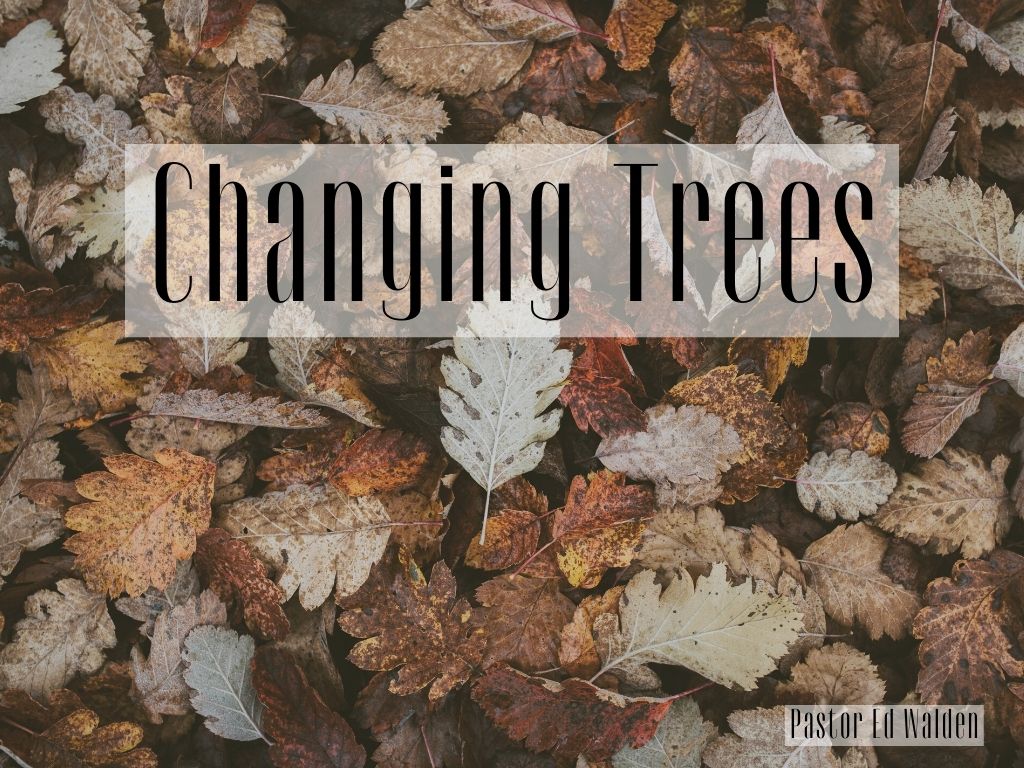 Changing Trees