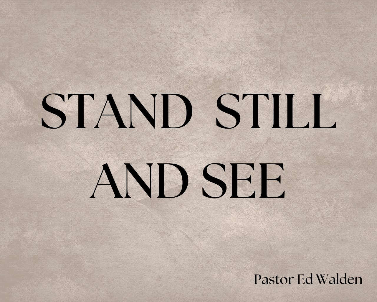Stand Still and See