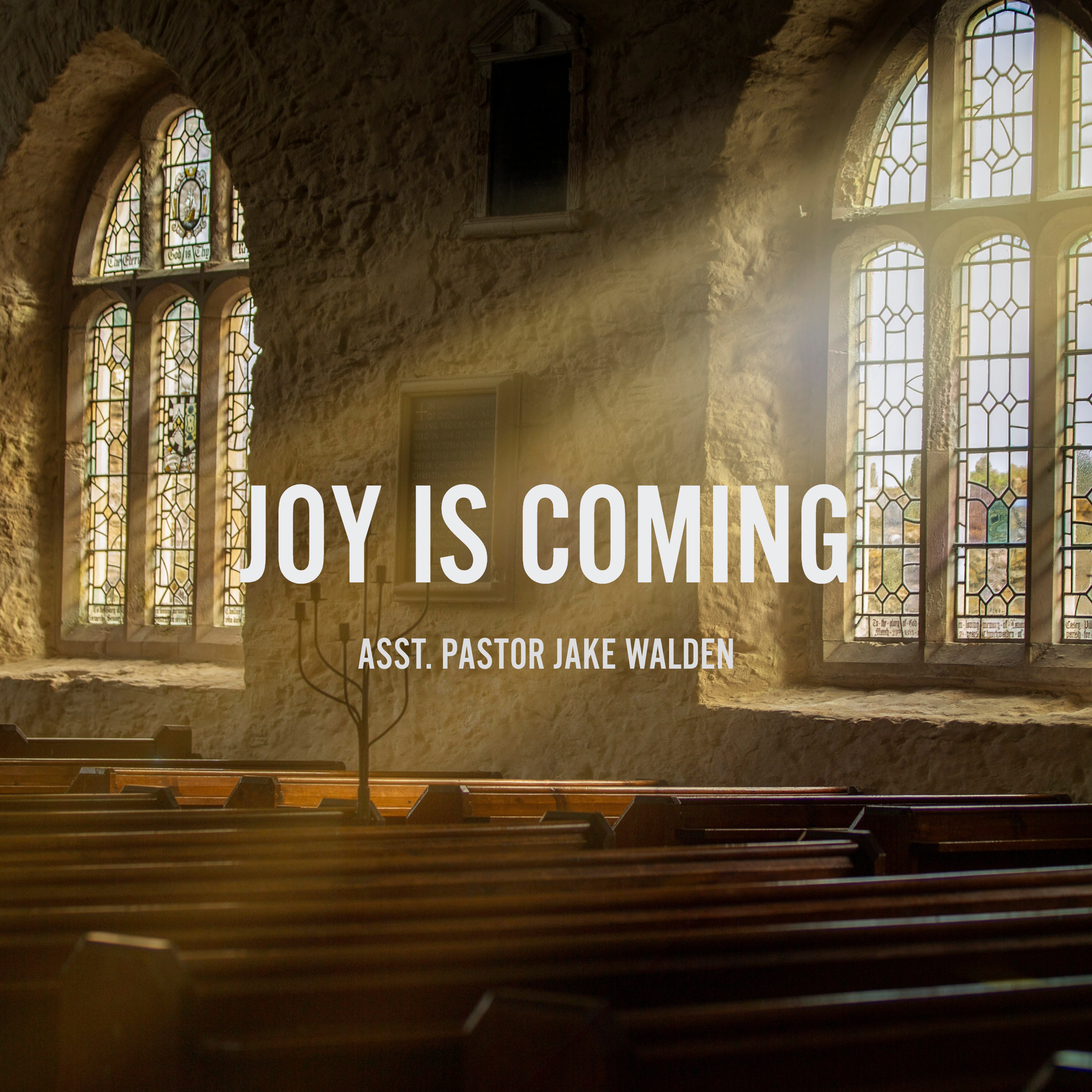 Joy Is Coming
