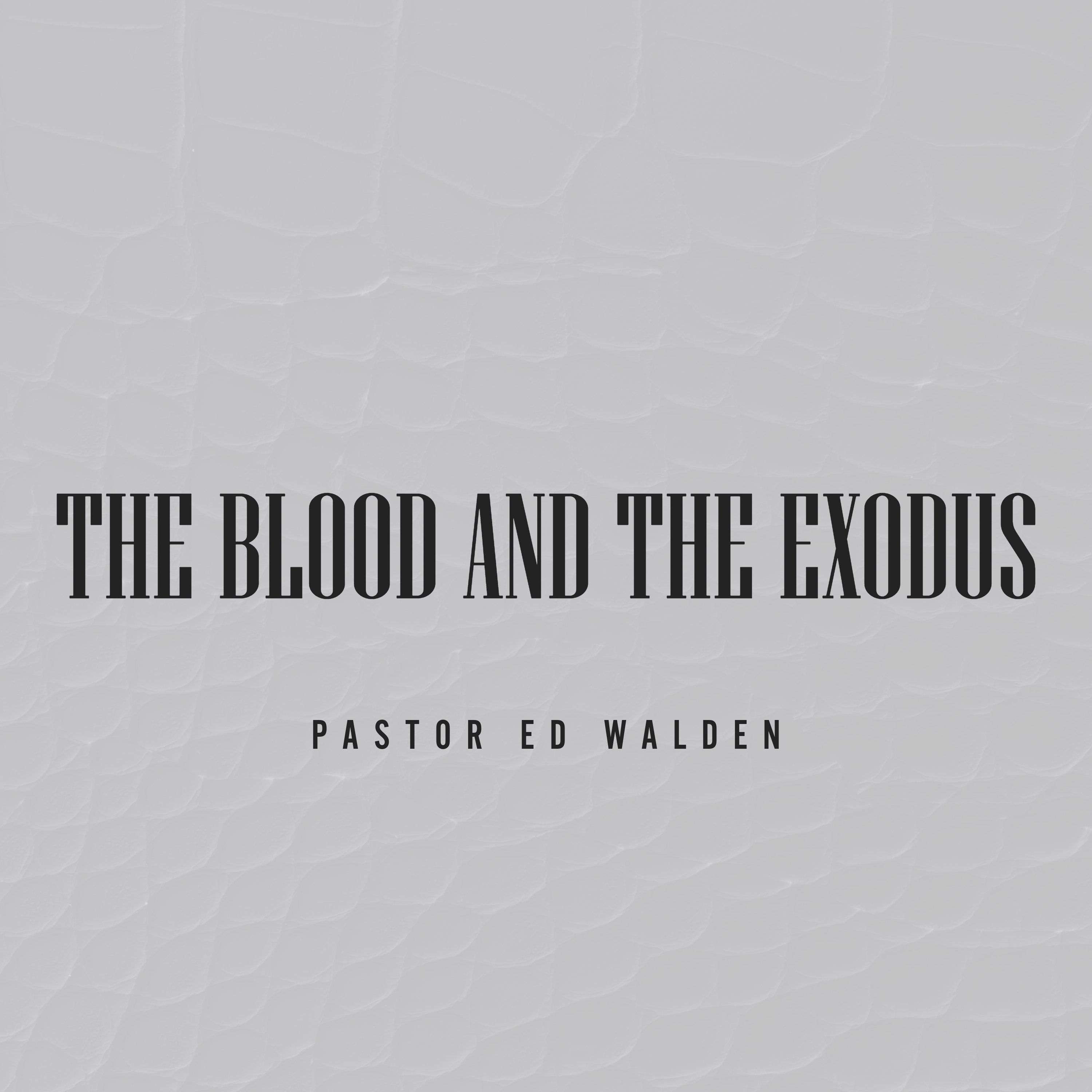 The Blood and The Exodus