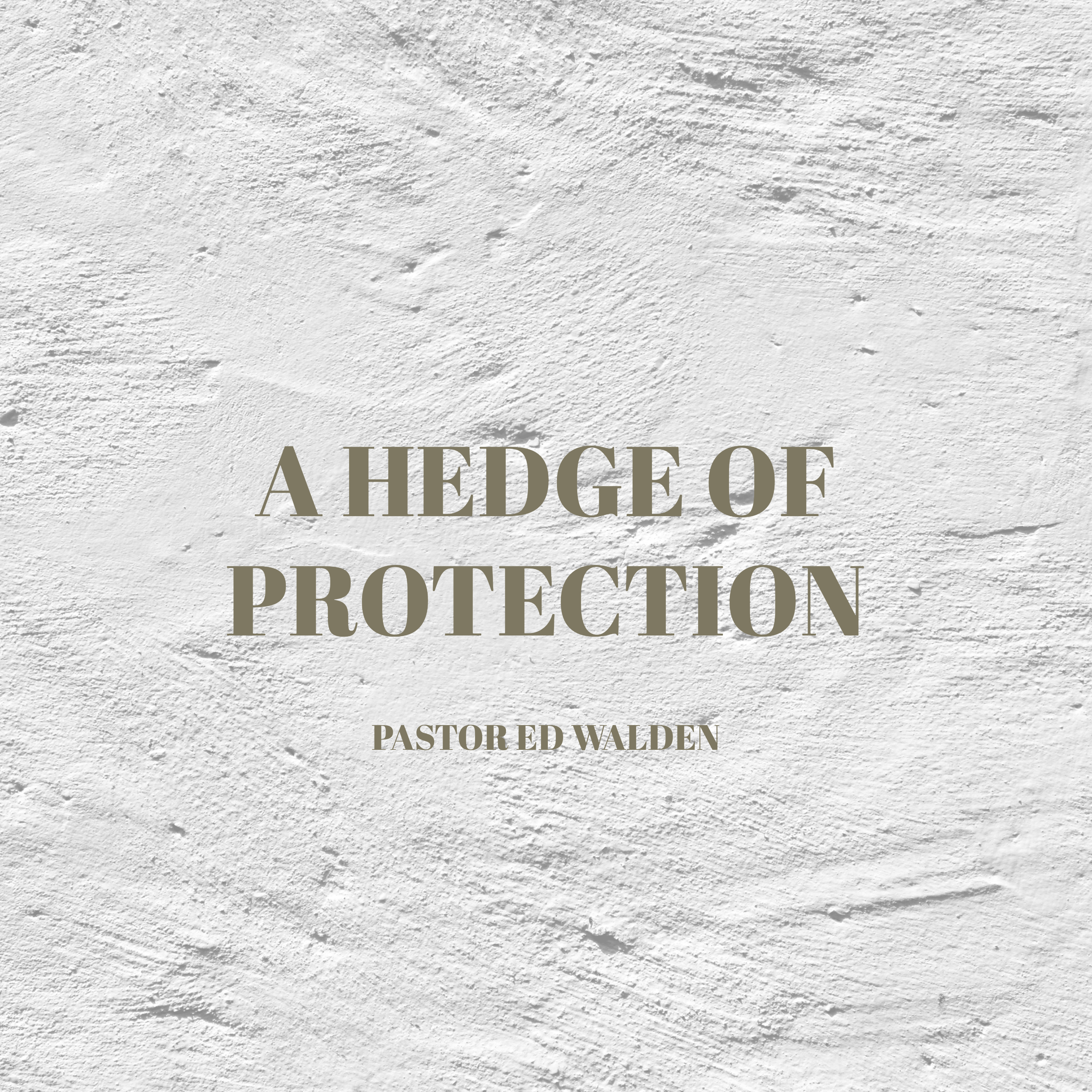 A Hedge of Protection