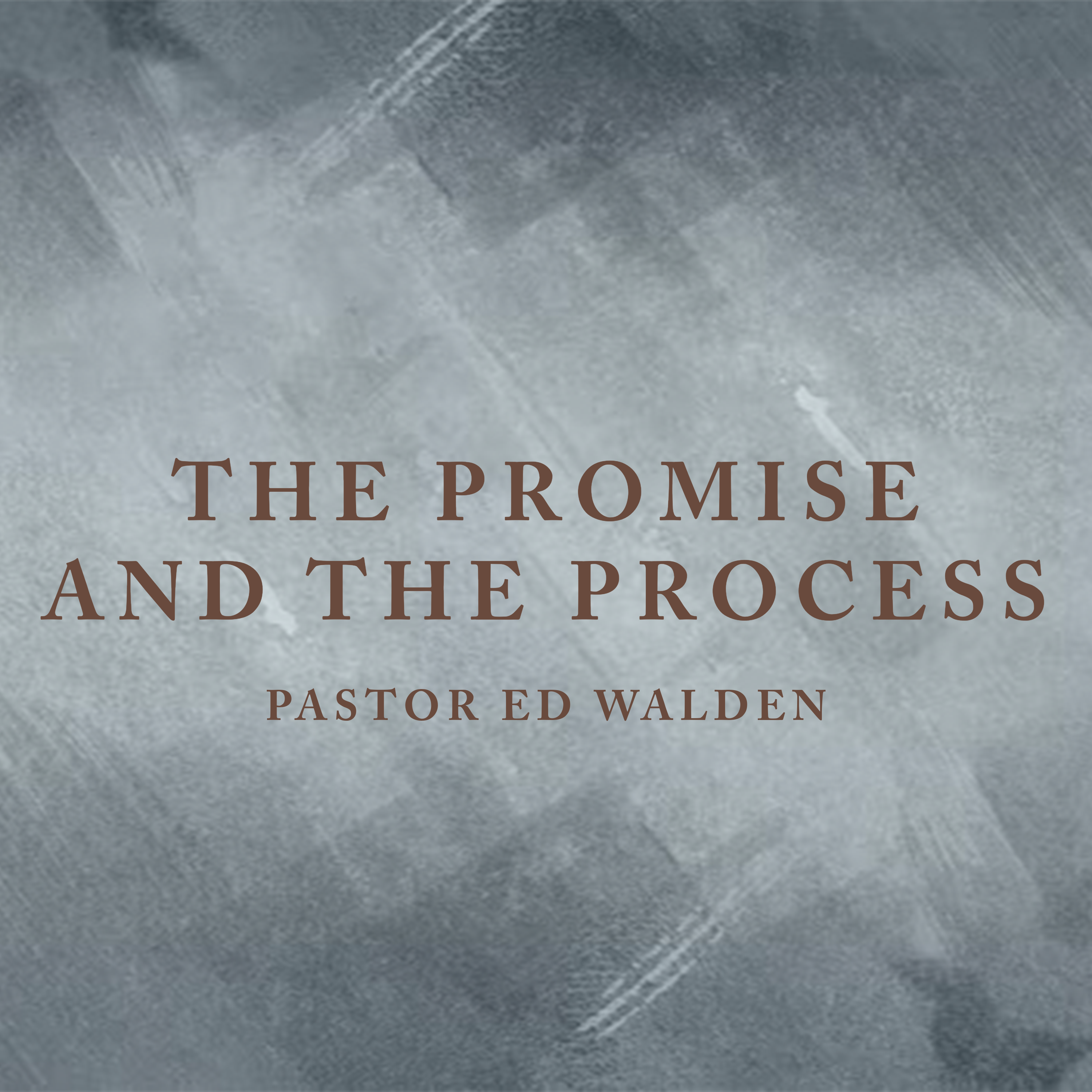 The Promise and The Process