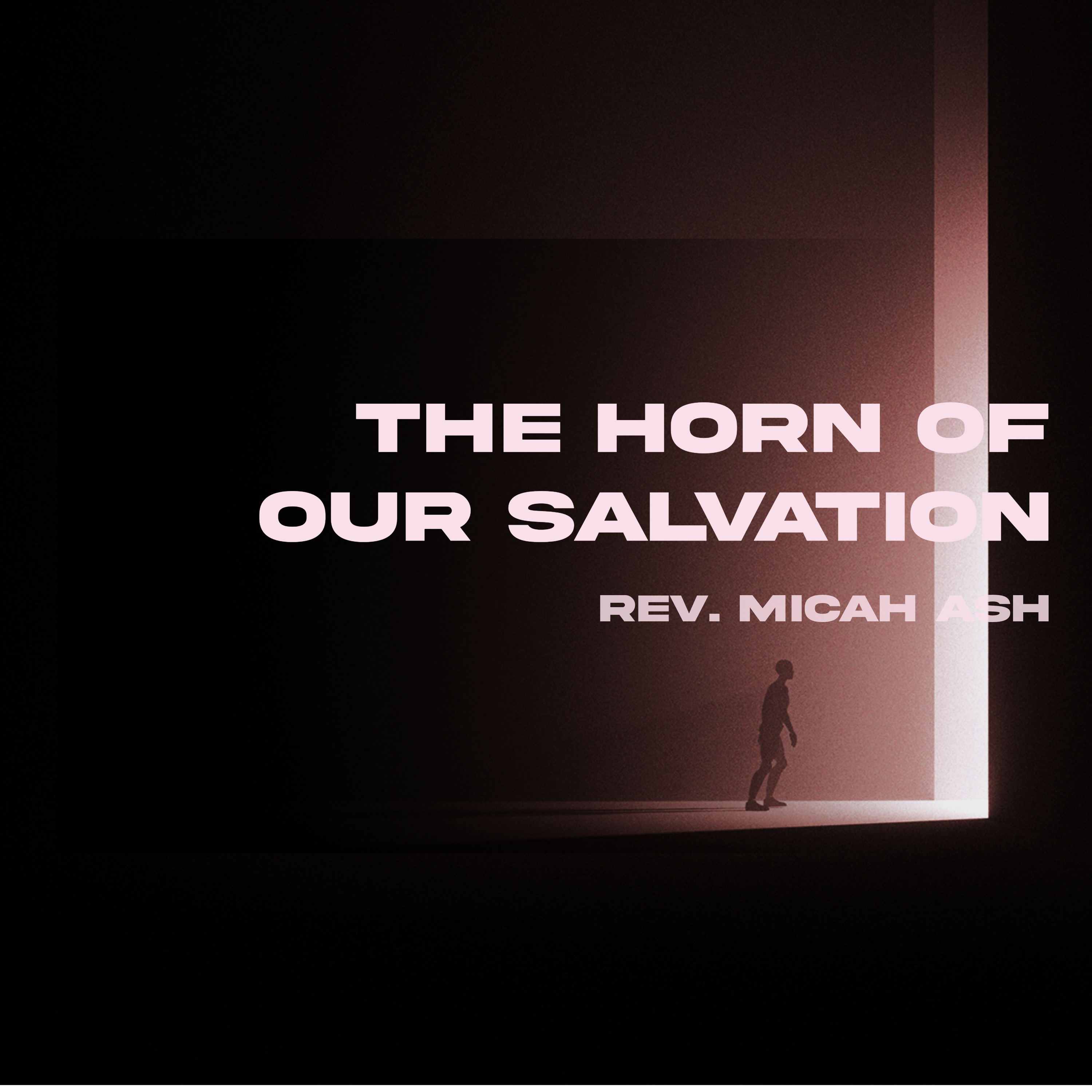 The Horn of Our Salvation