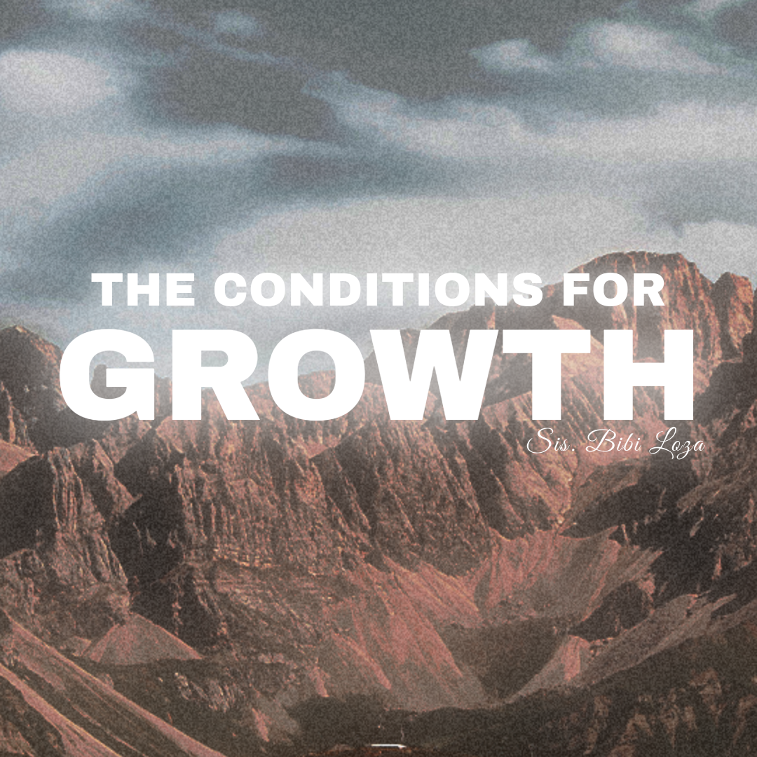 The Conditions for Growth