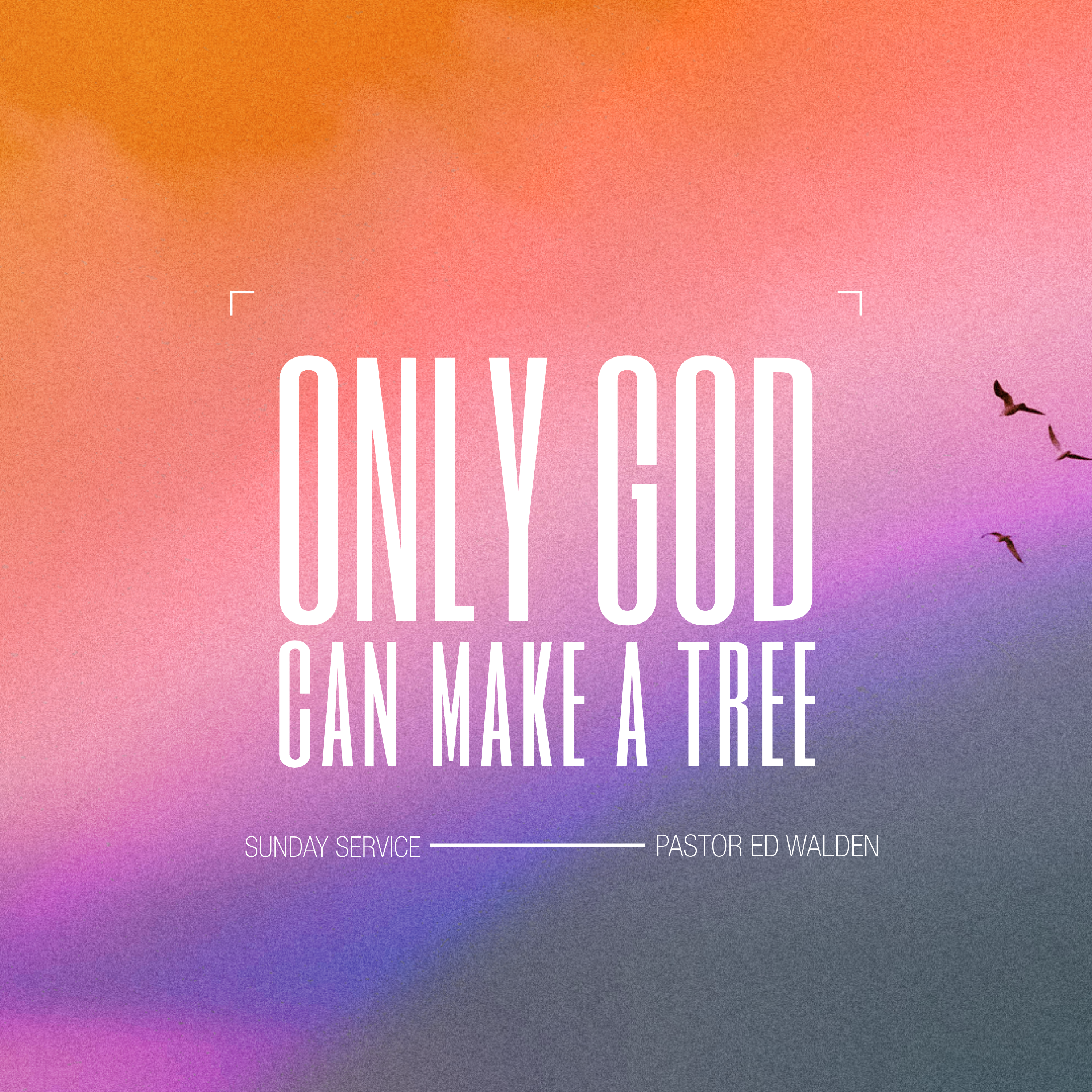 Only God Can Make a Tree