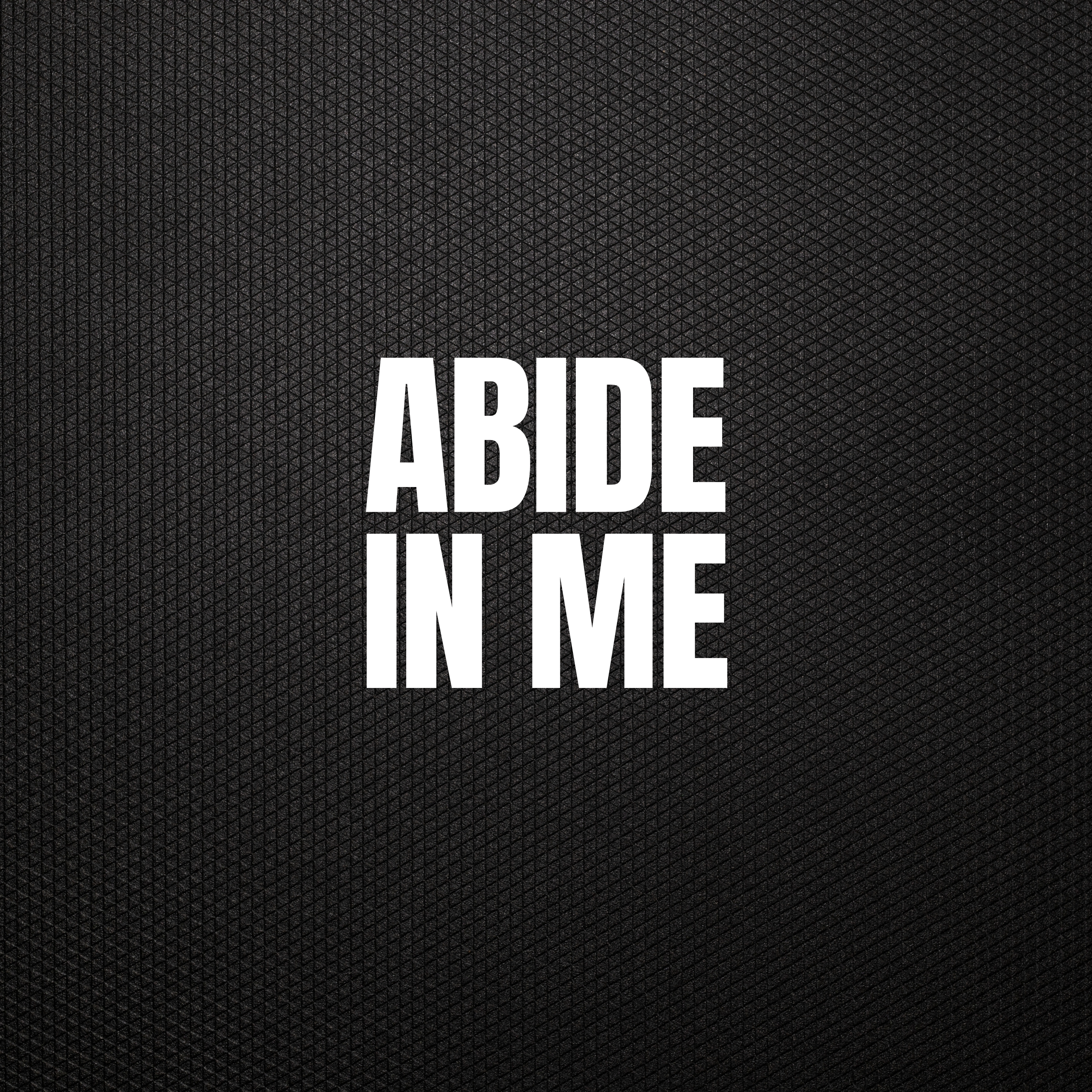 Abide In Me