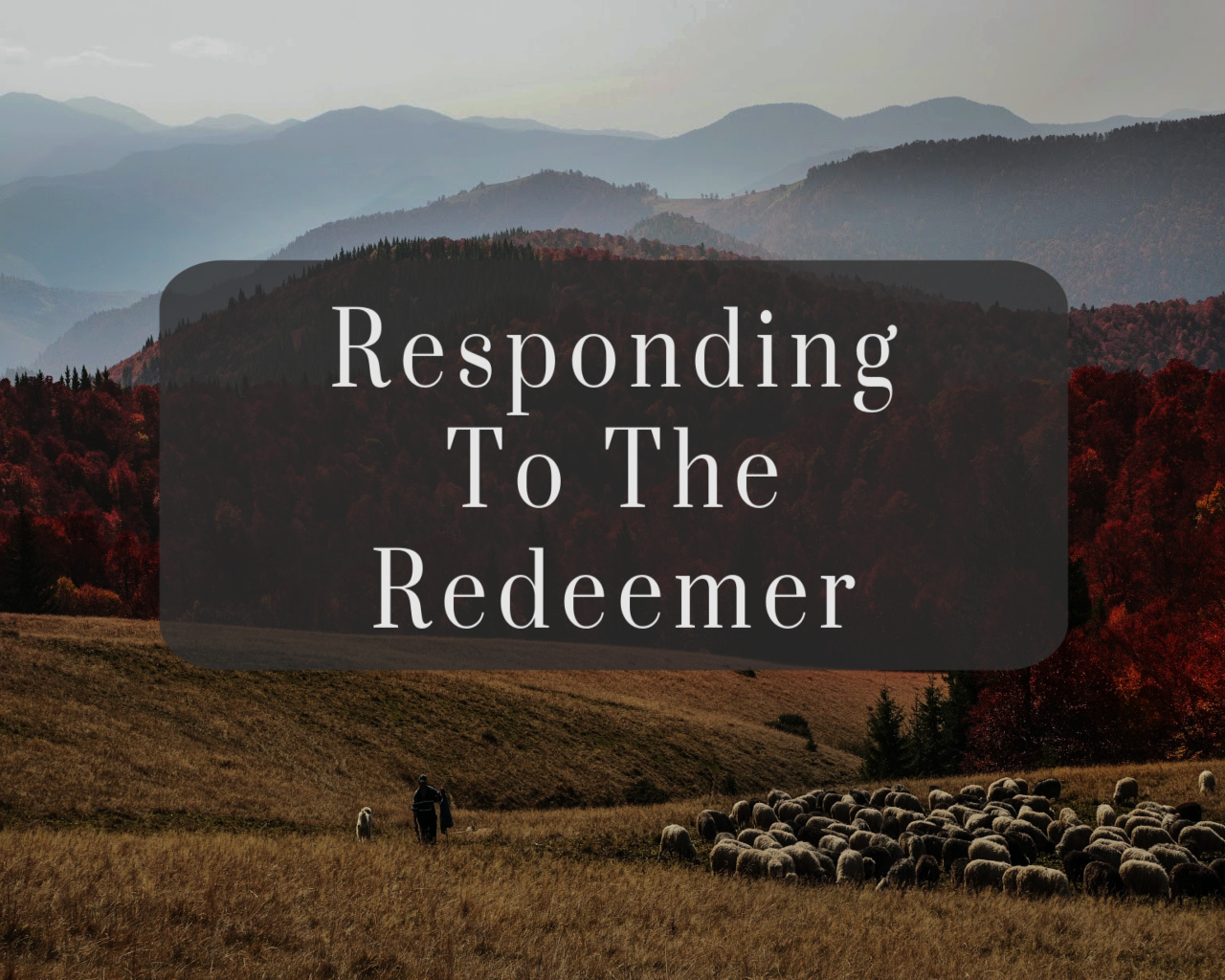 Responding To The Redeemer