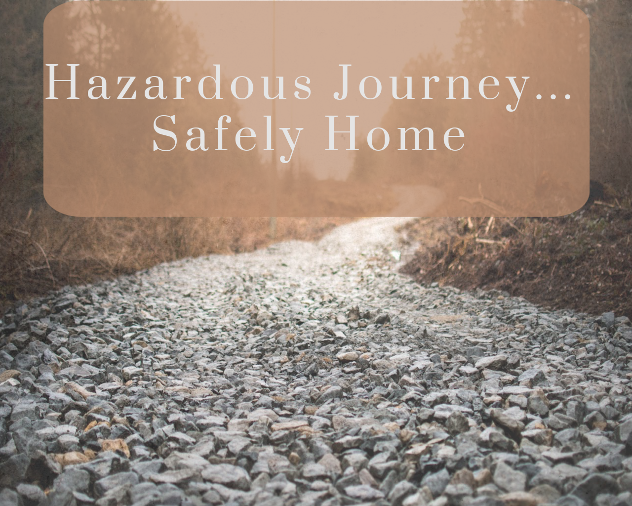 Hazardous Journey... Safely Home
