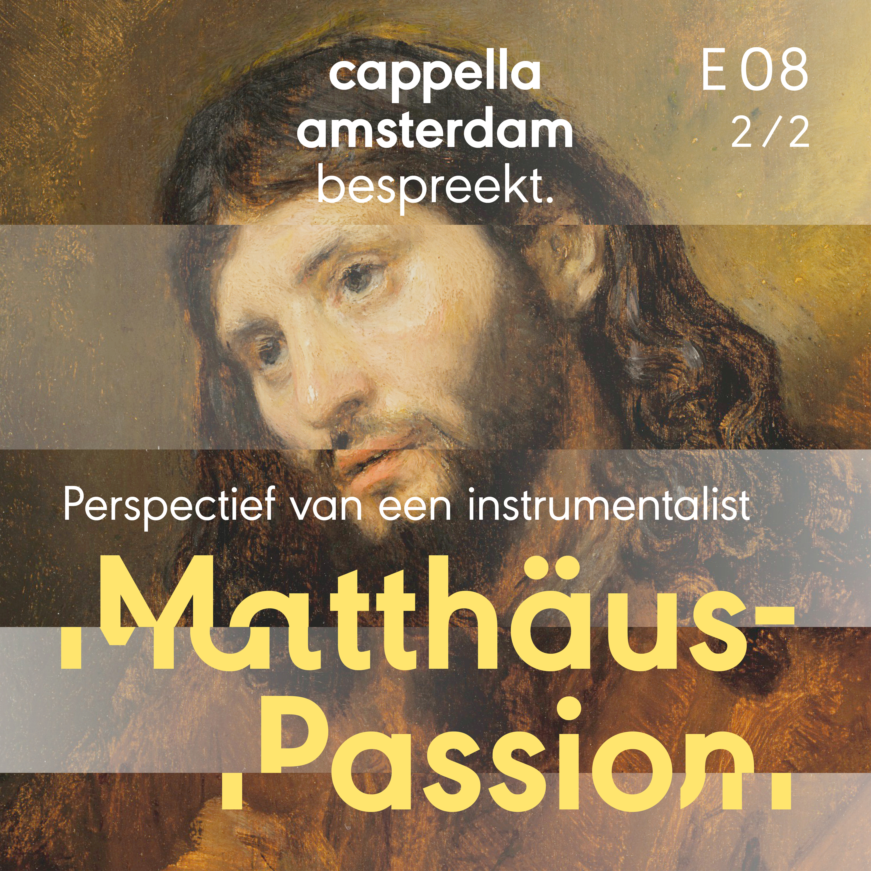 Matthäus-Passion: Perspectief van de instrumentalist Ep. 2