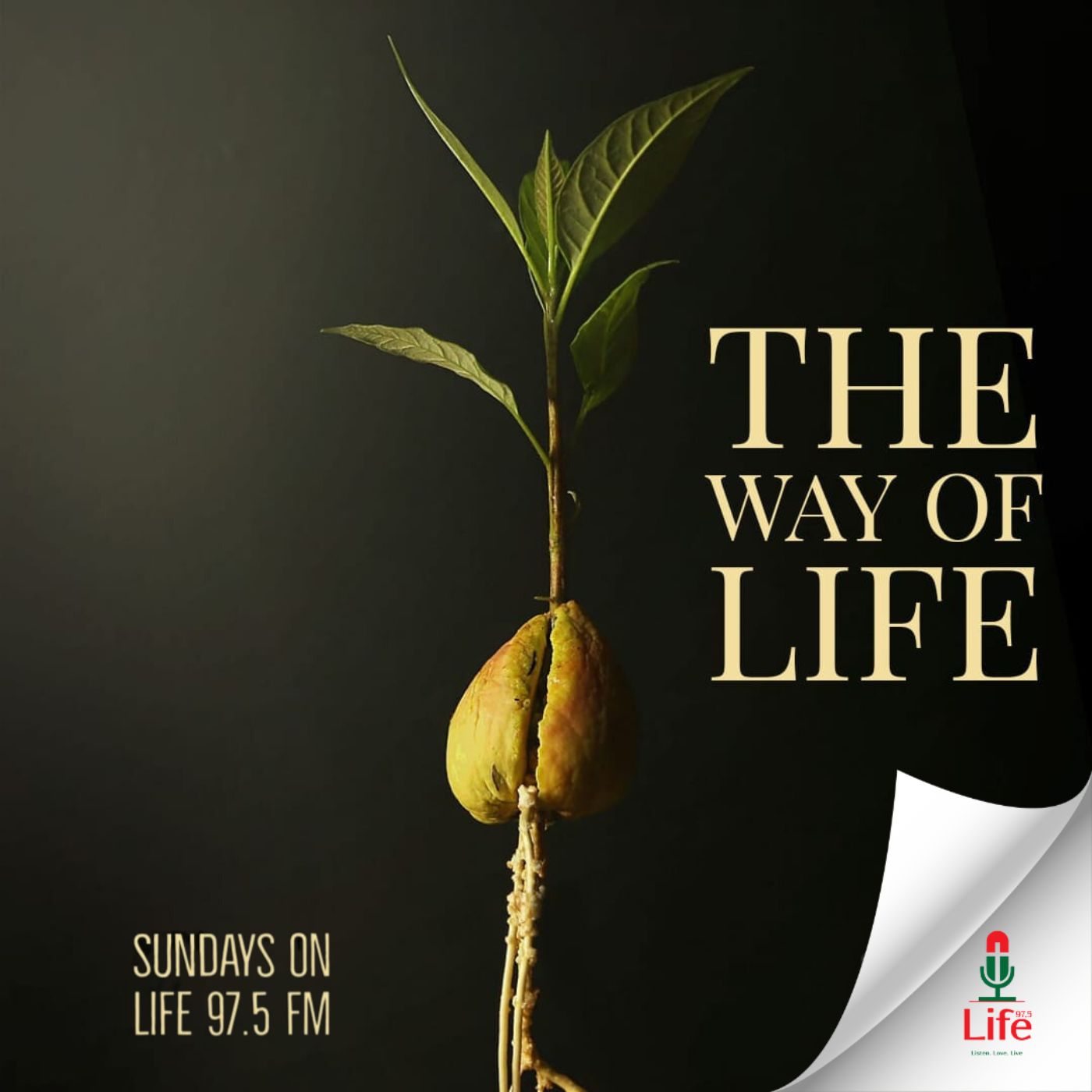 The Way Of Life